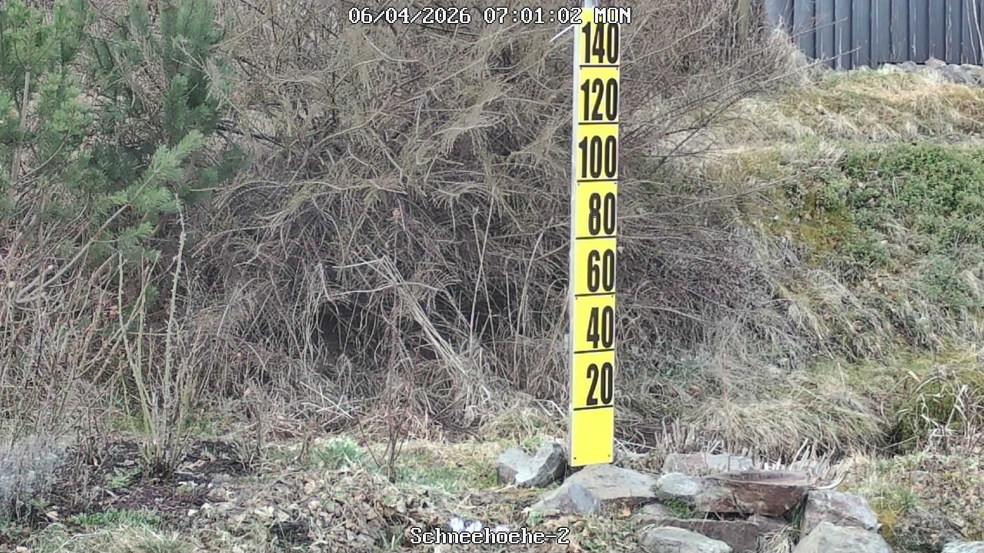 Archived image Webcam Snowcam in Bärenfels