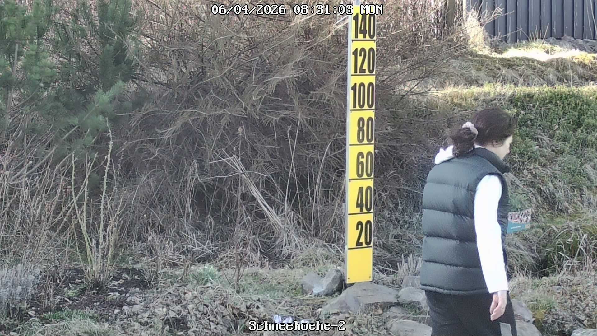 Archived image Webcam Snowcam in Bärenfels