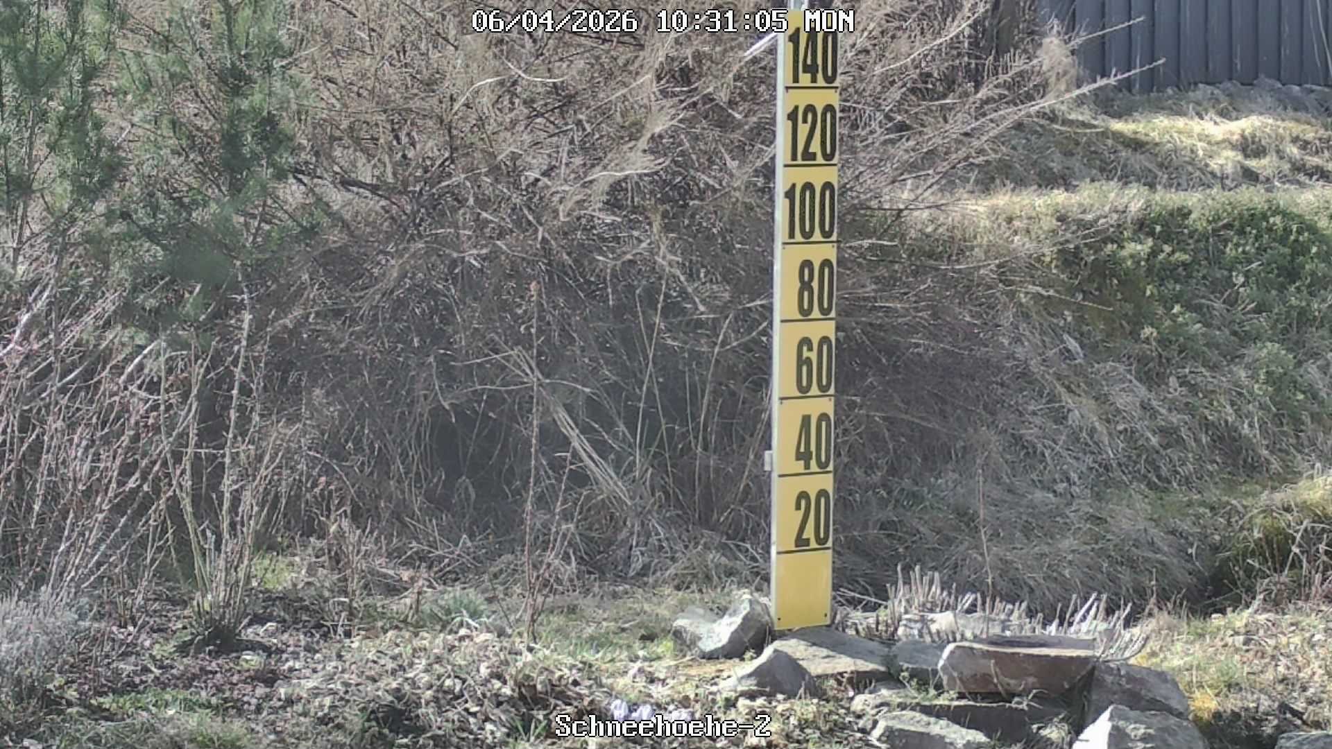 Archived image Webcam Snowcam in Bärenfels