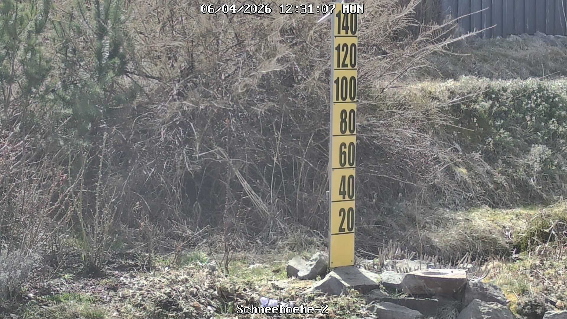 Archived image Webcam Snowcam in Bärenfels