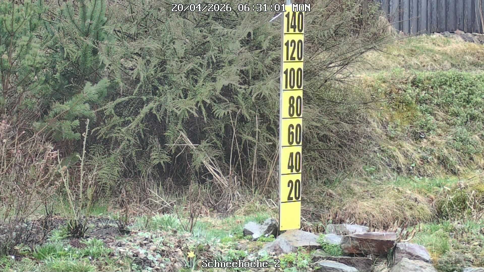 Archiv Foto Webcam Kurort Bärenfels - Schneemesser