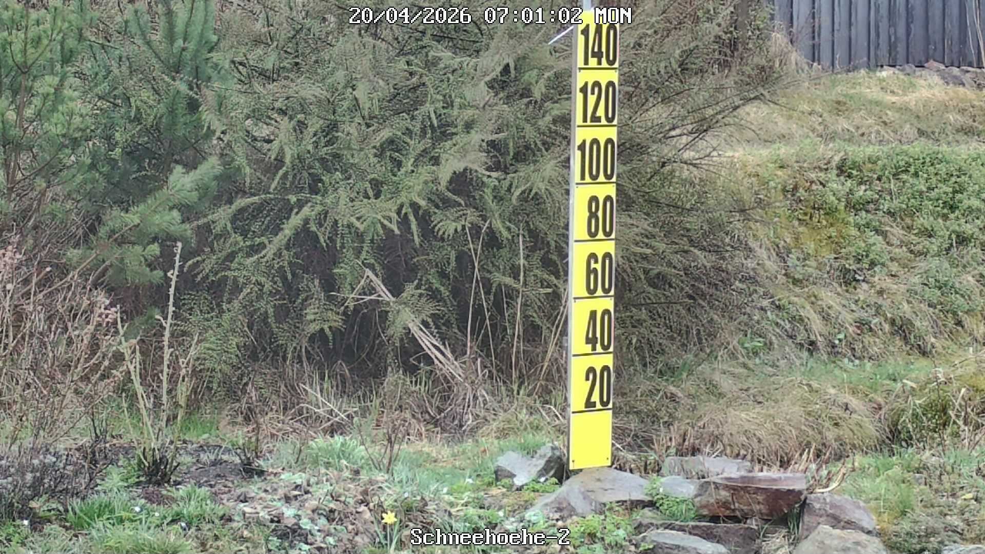 Archiv Foto Webcam Kurort Bärenfels - Schneemesser