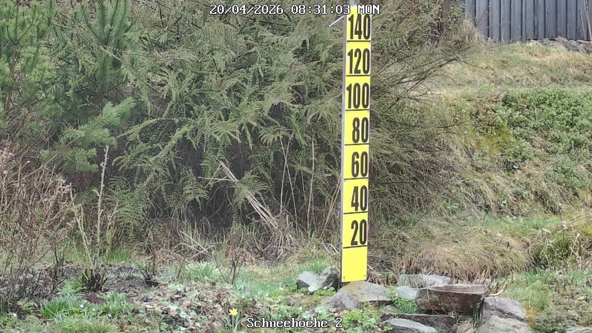 Archiv Foto Webcam Kurort Bärenfels - Schneemesser