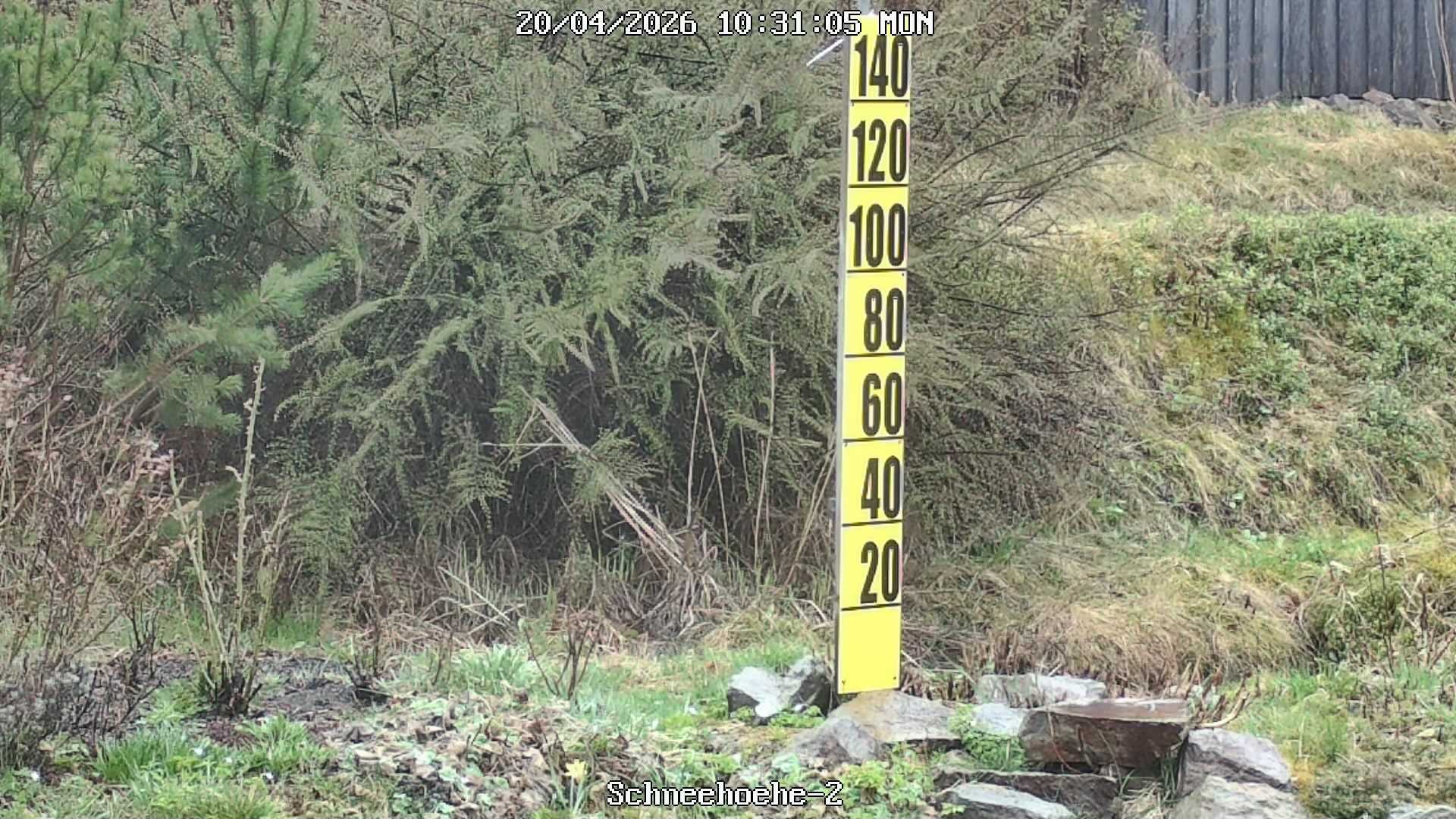 Archiv Foto Webcam Kurort Bärenfels - Schneemesser