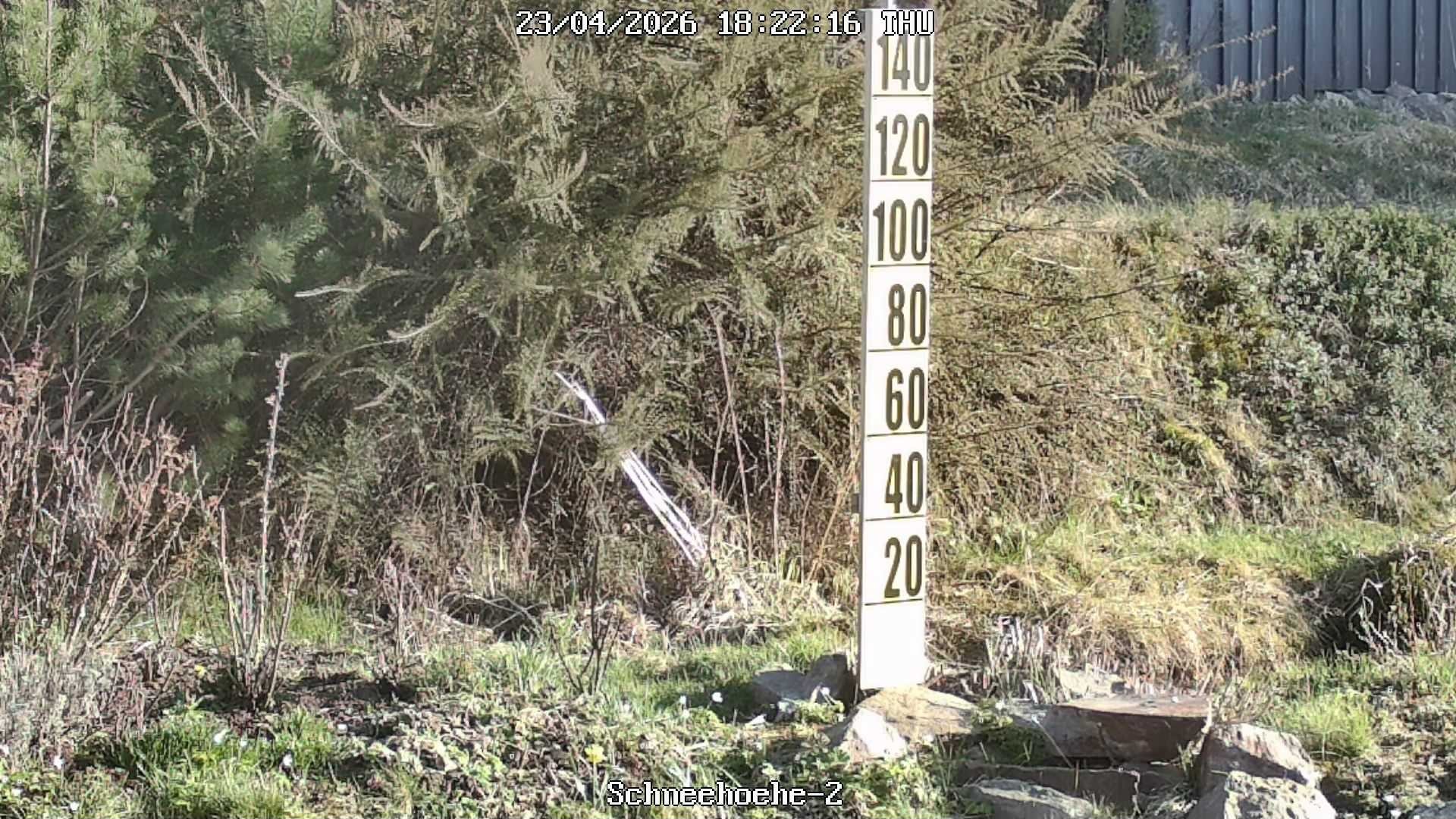 Archived image Webcam Snowcam in Bärenfels