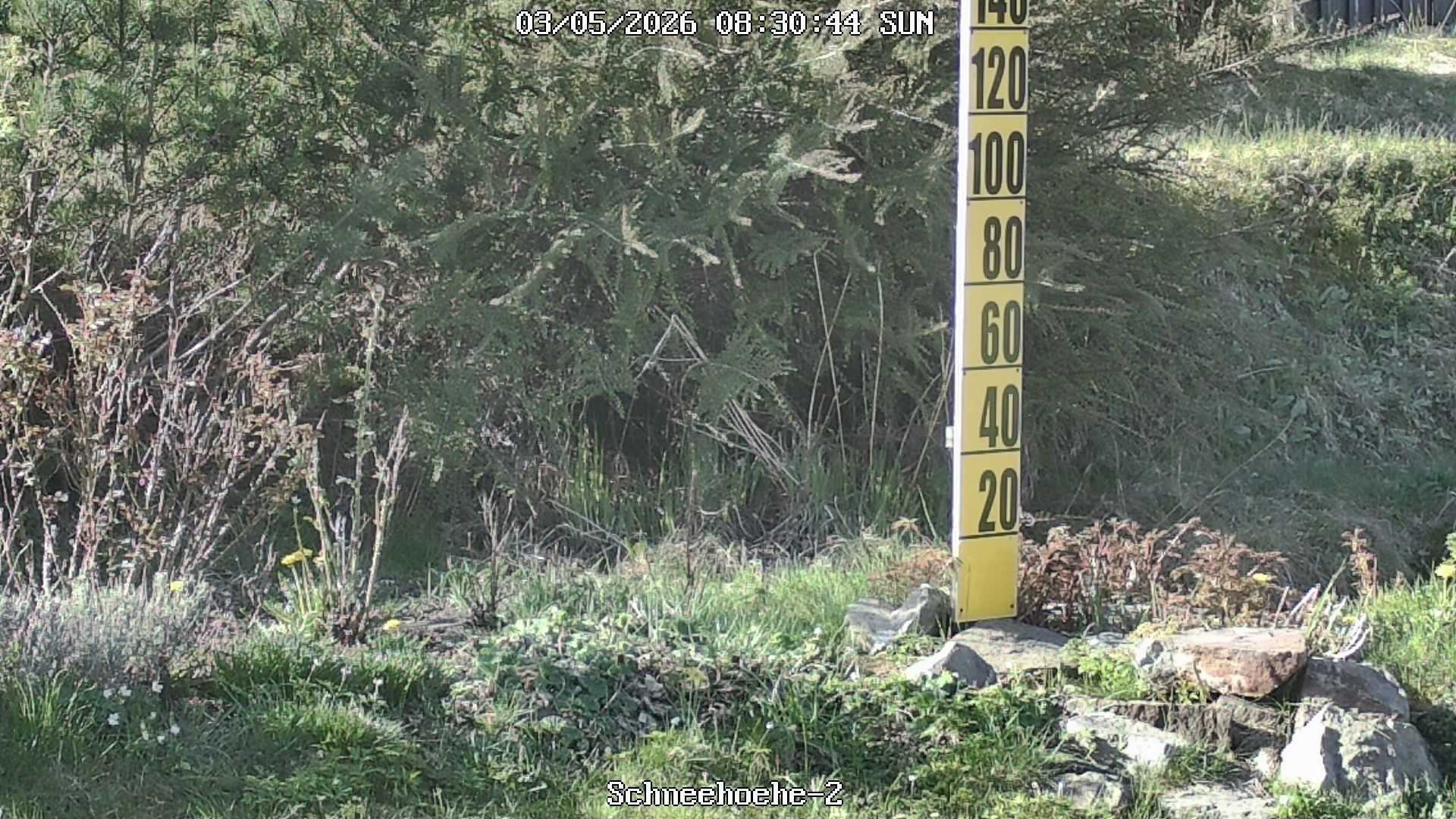 Archiv Foto Webcam Kurort Bärenfels - Schneemesser