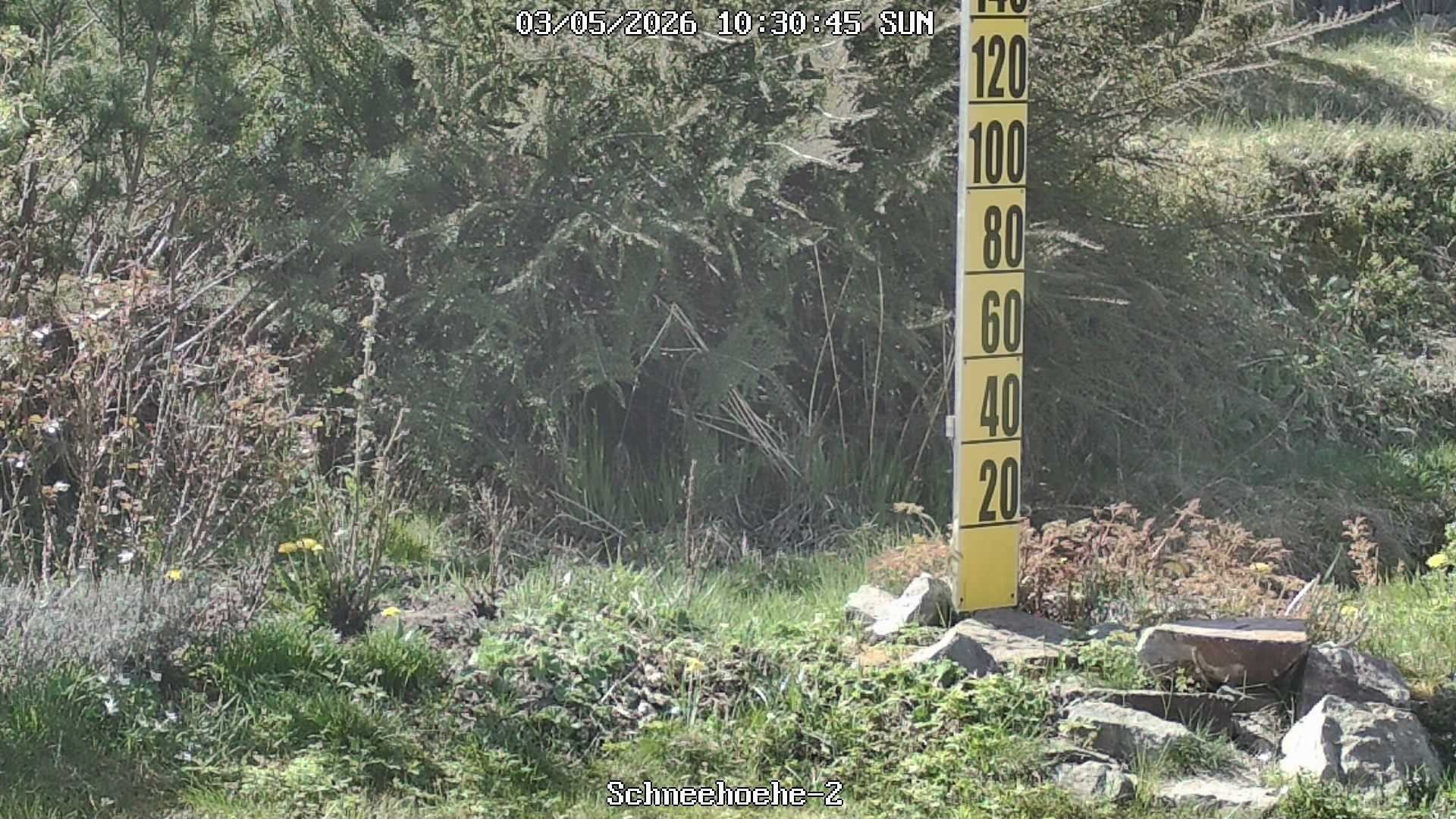 Archiv Foto Webcam Kurort Bärenfels - Schneemesser