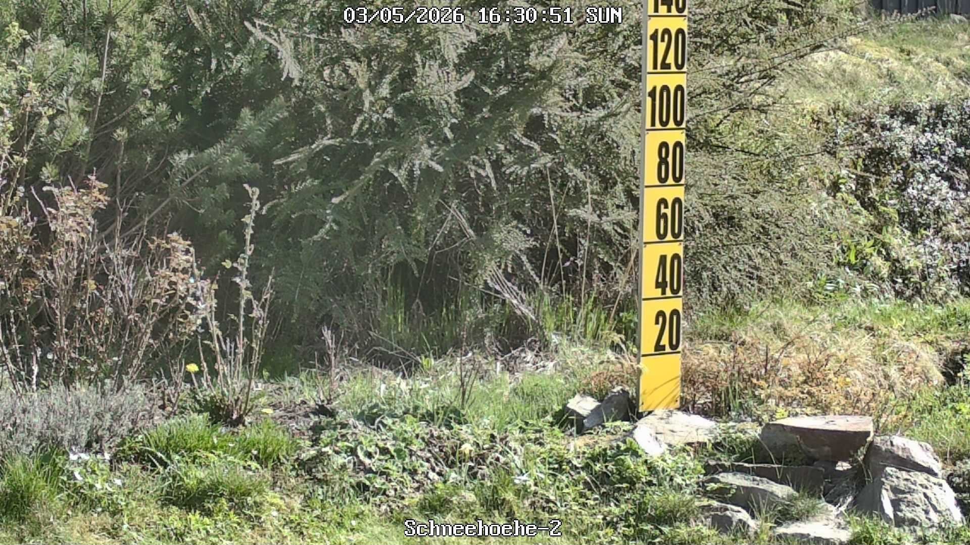 Archiv Foto Webcam Kurort Bärenfels - Schneemesser