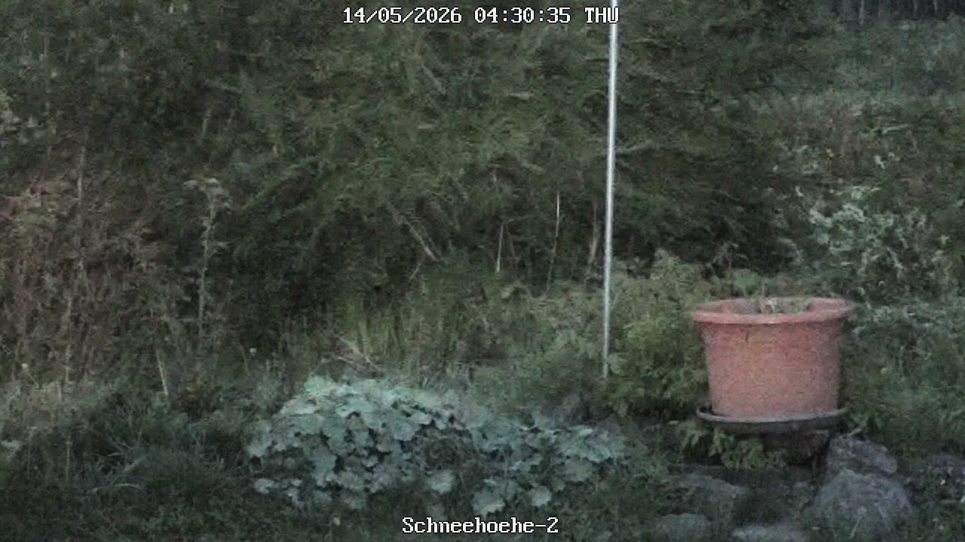 Archiv Foto Webcam Kurort Bärenfels - Schneemesser