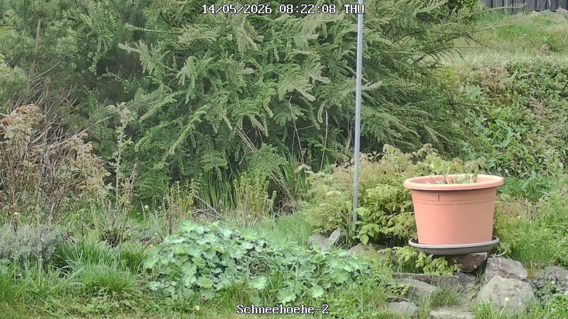 Archiv Foto Webcam Kurort Bärenfels - Schneemesser