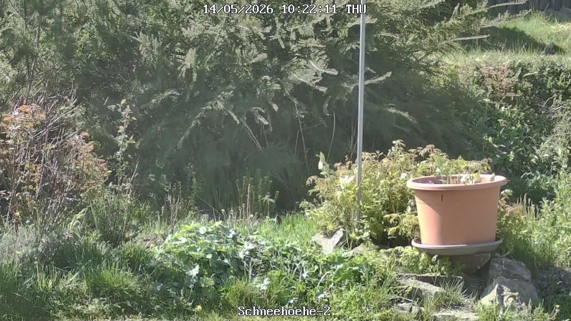 Archiv Foto Webcam Kurort Bärenfels - Schneemesser