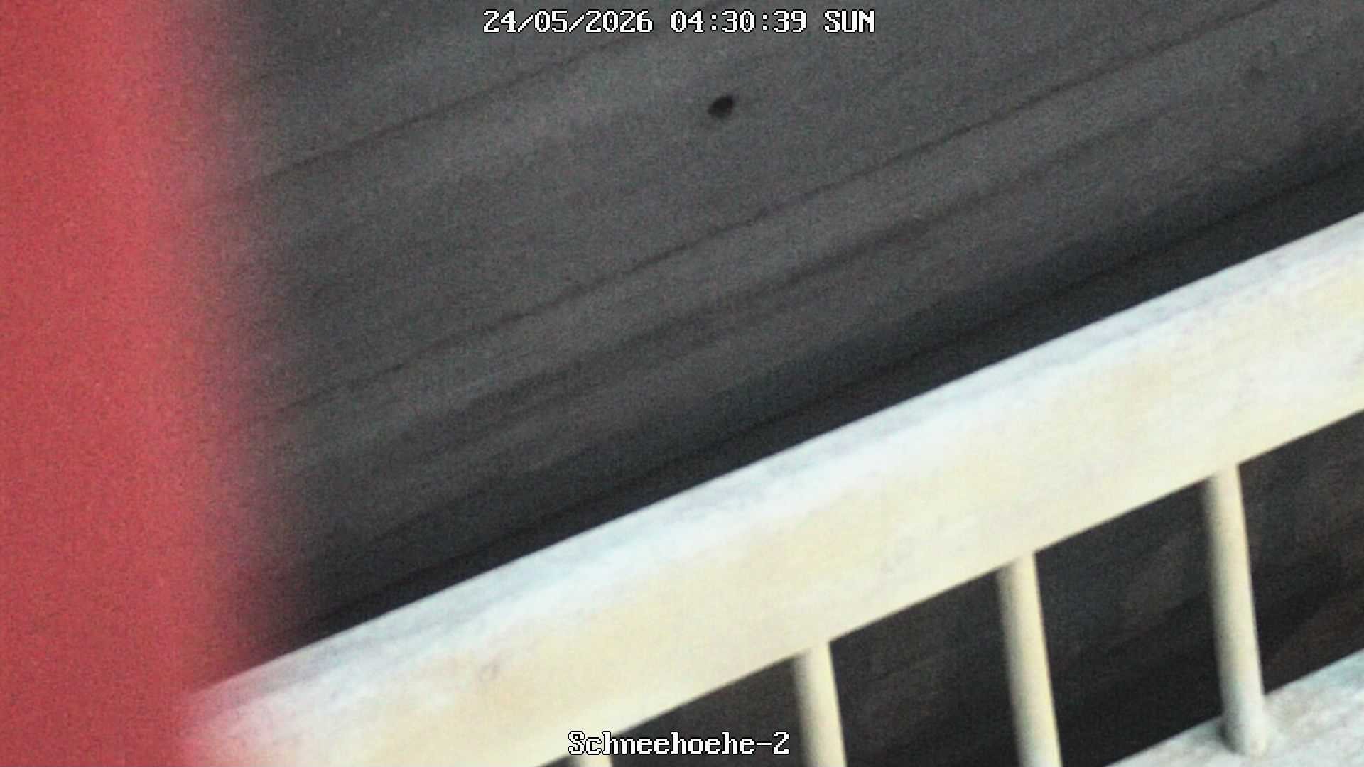 Archived image Webcam Snowcam in Bärenfels