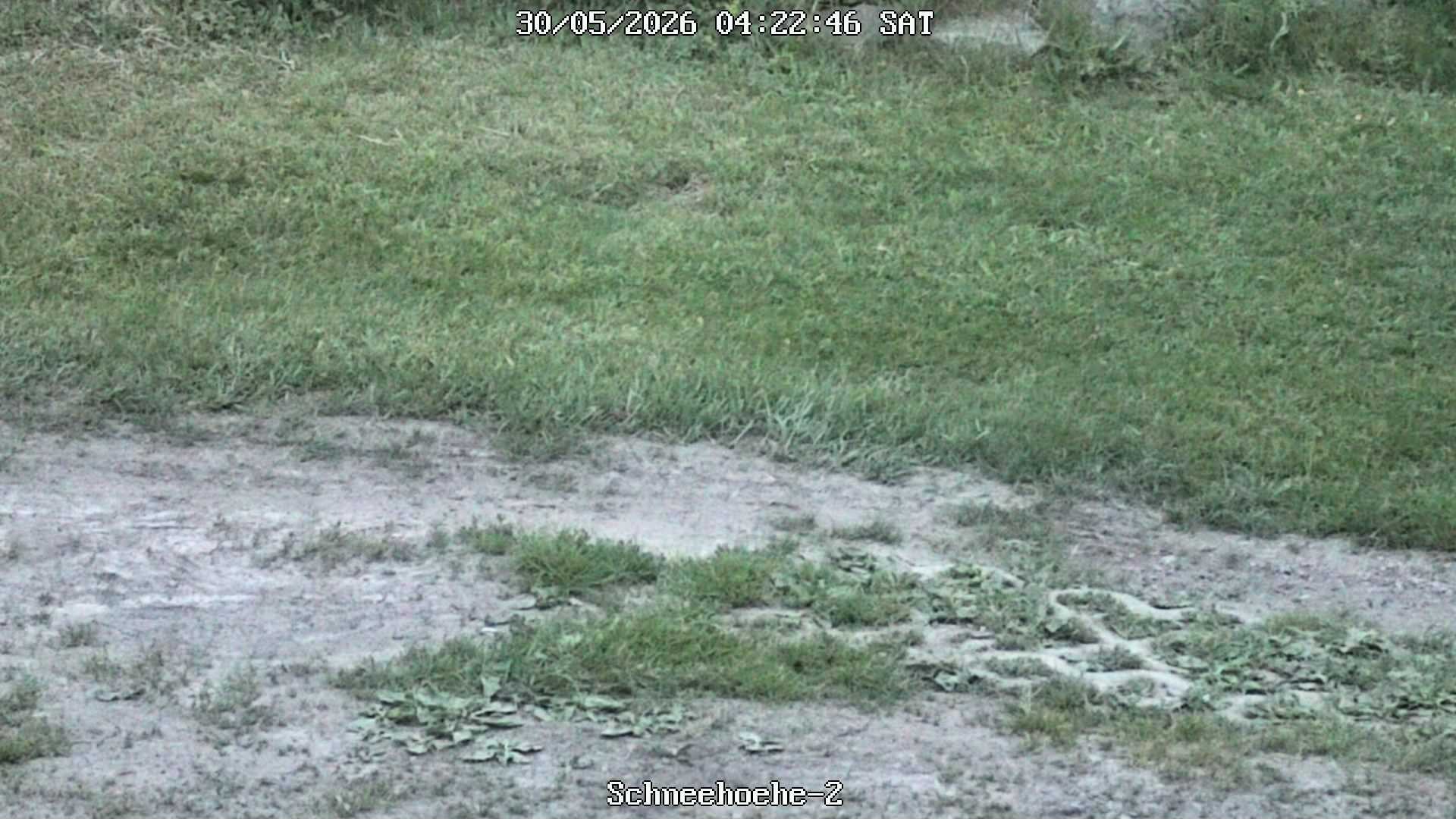 Archiv Foto Webcam Kurort Bärenfels - Schneemesser