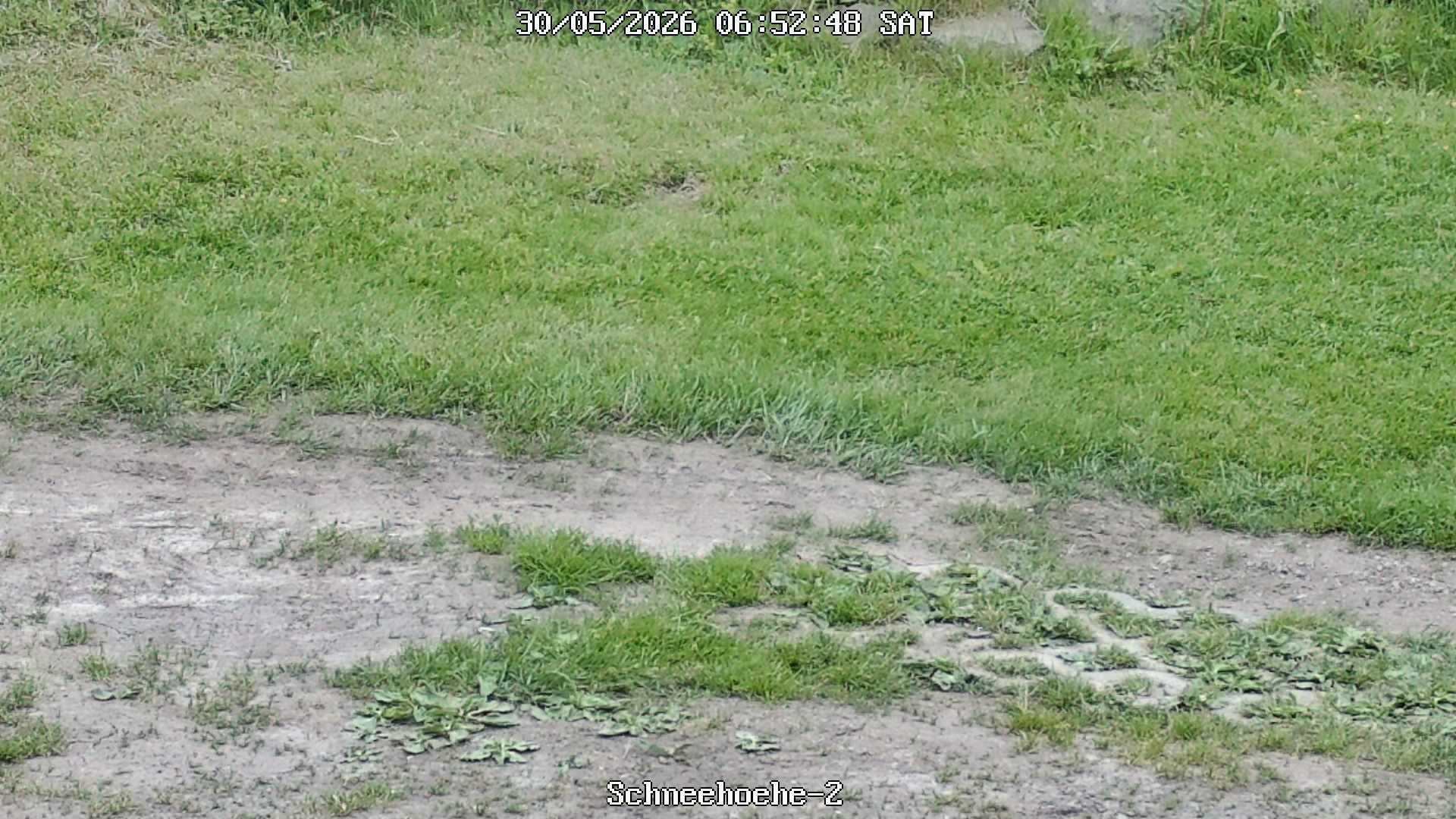 Archiv Foto Webcam Kurort Bärenfels - Schneemesser