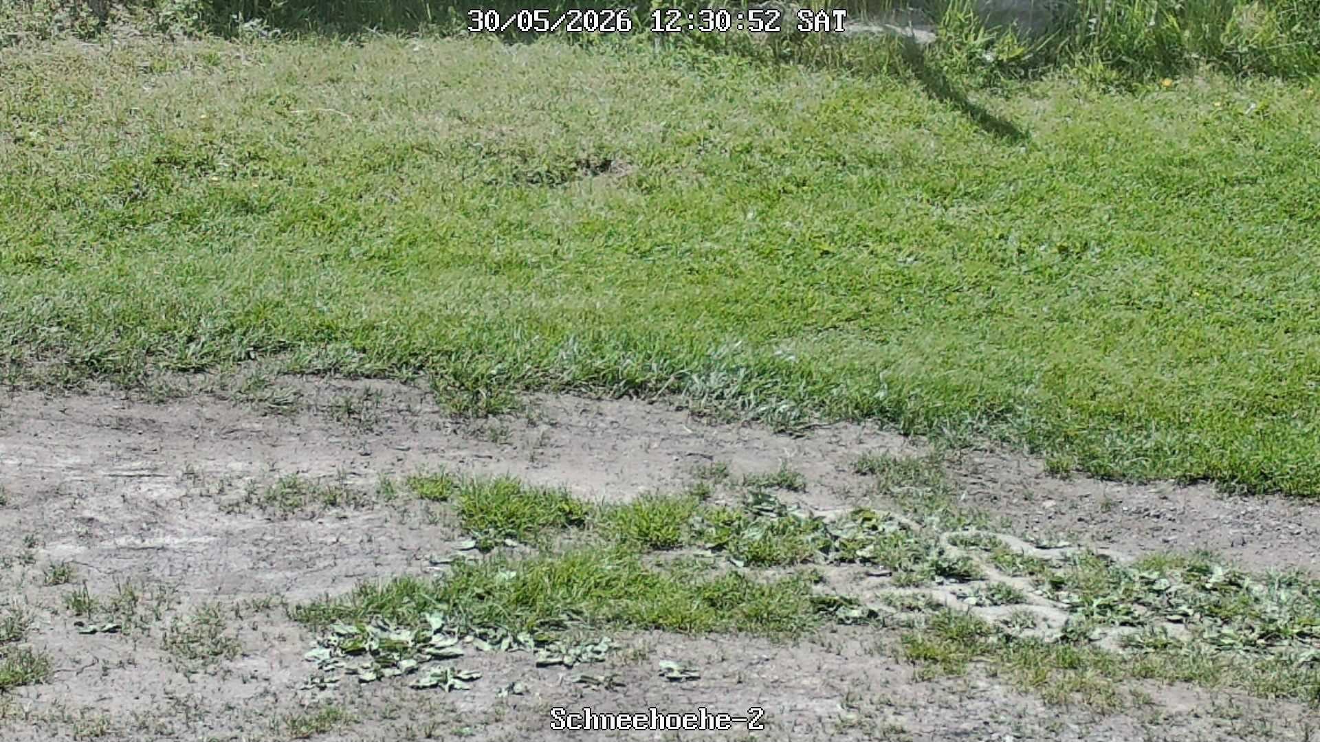 Archiv Foto Webcam Kurort Bärenfels - Schneemesser