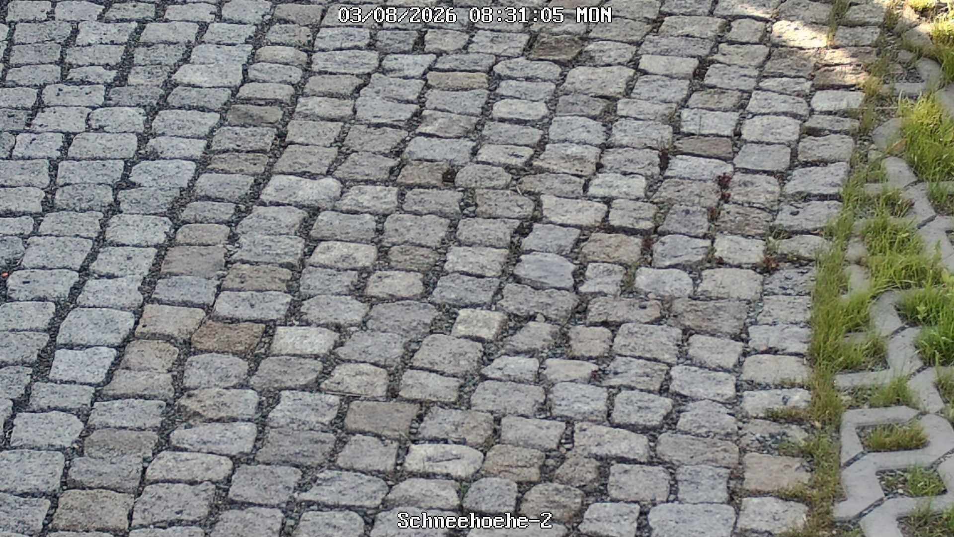 Archiv Foto Webcam Kurort Bärenfels - Schneemesser