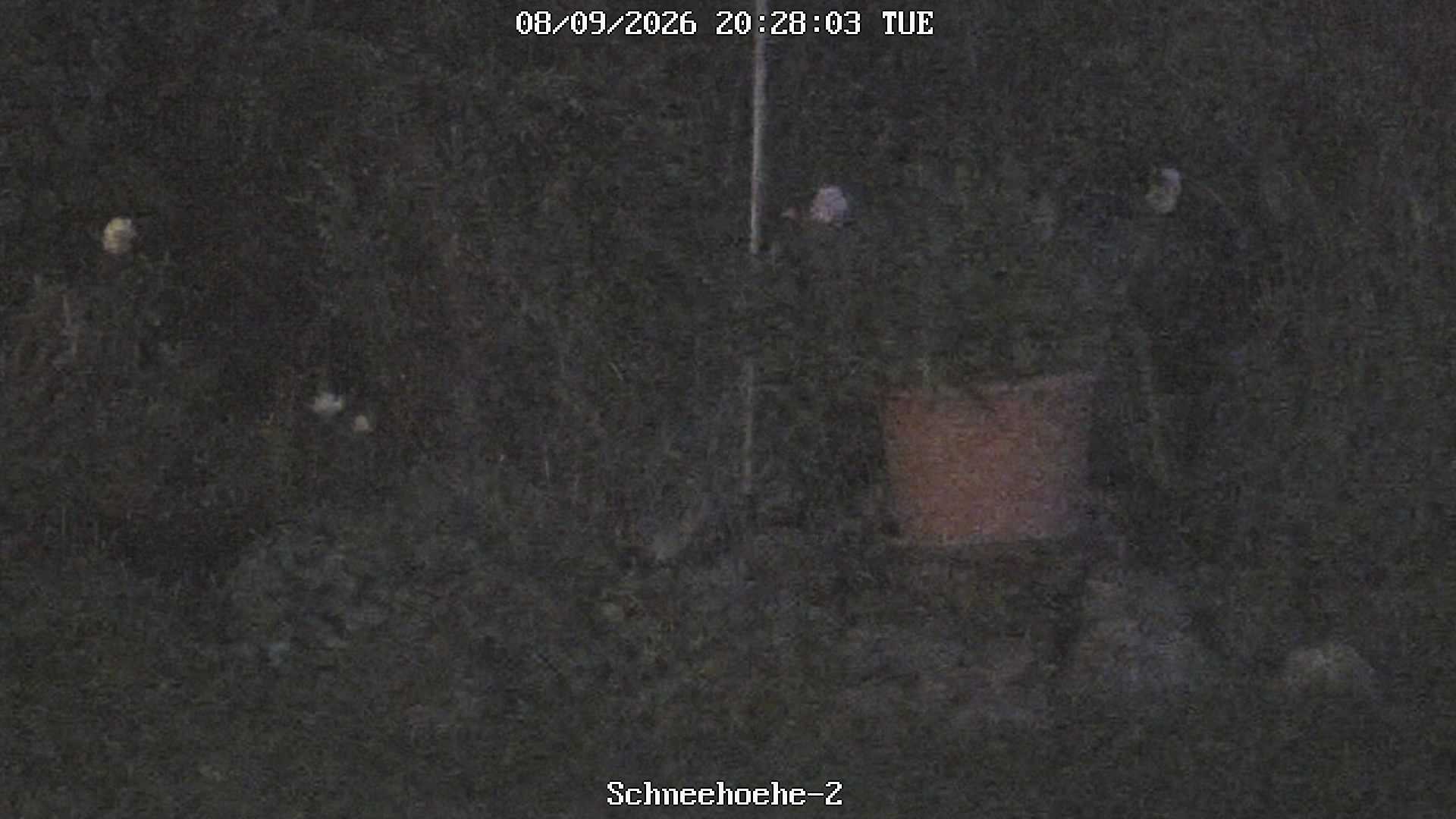 Archiv Foto Webcam Kurort Bärenfels - Schneemesser