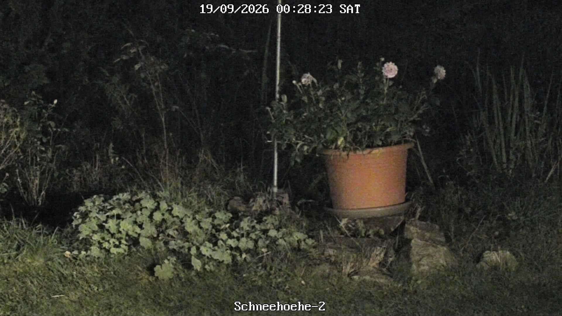 Archiv Foto Webcam Kurort Bärenfels - Schneemesser
