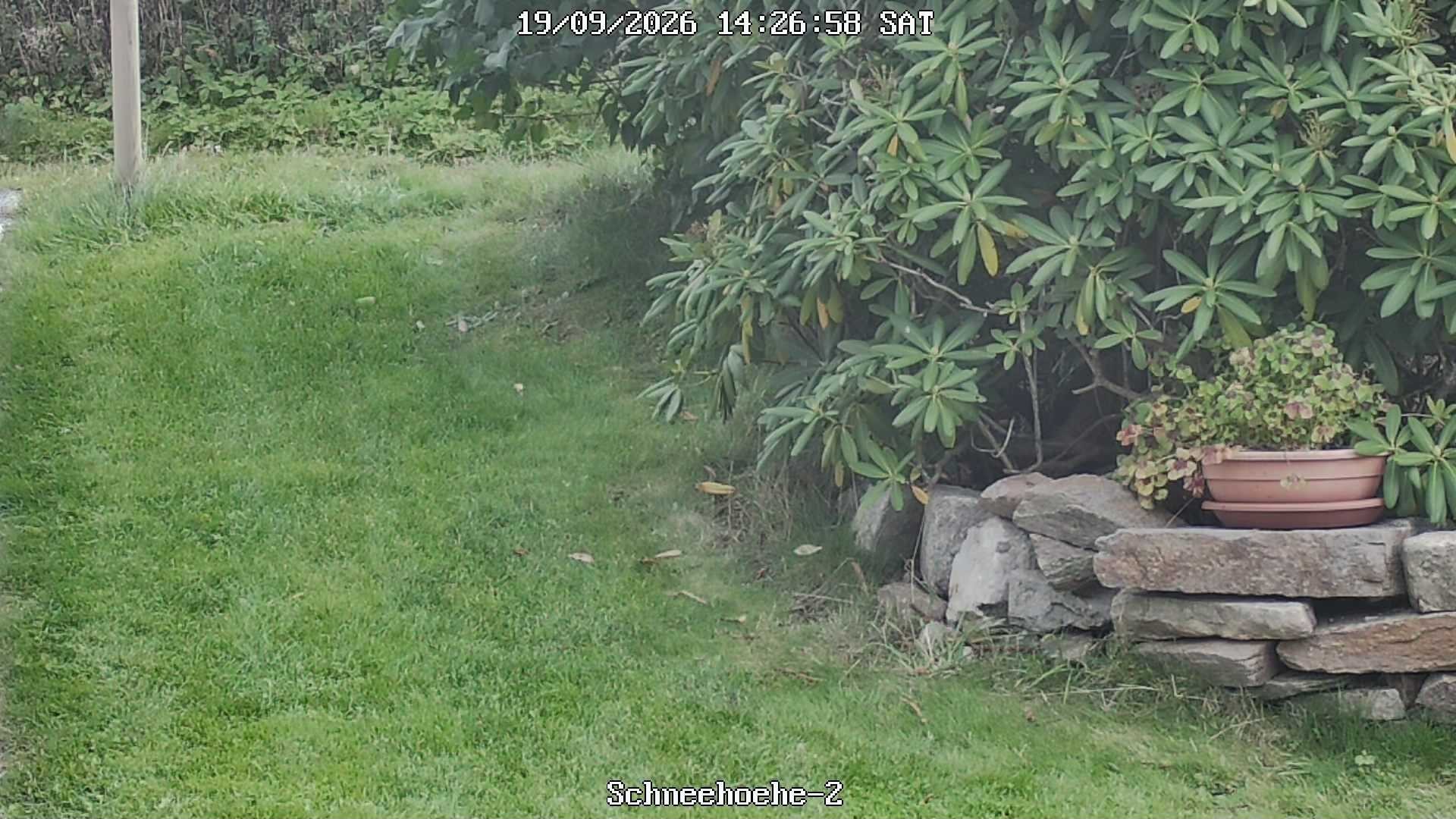 Archiv Foto Webcam Kurort Bärenfels - Schneemesser