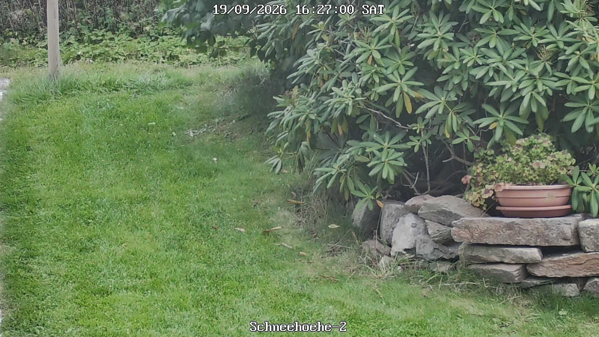 Archiv Foto Webcam Kurort Bärenfels - Schneemesser