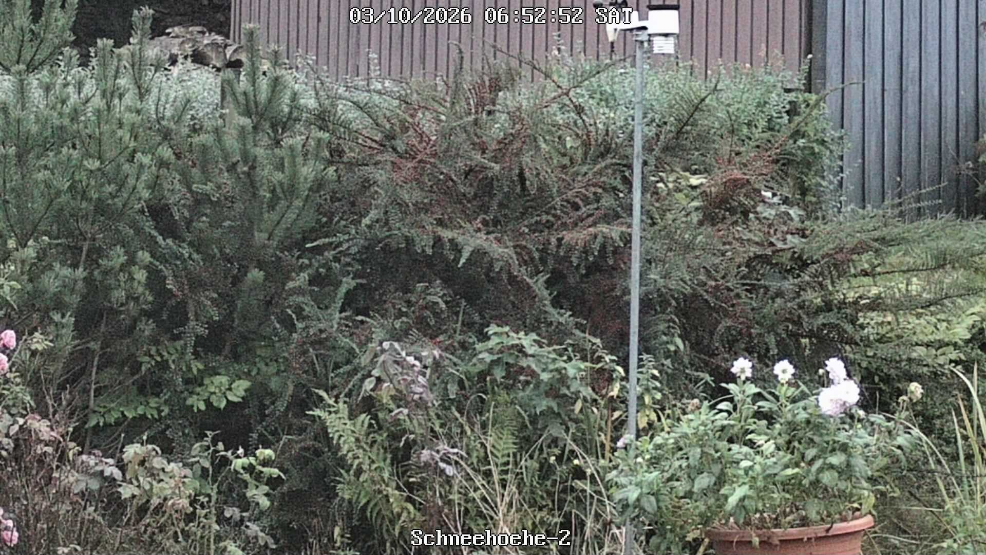 Archiv Foto Webcam Kurort Bärenfels - Schneemesser
