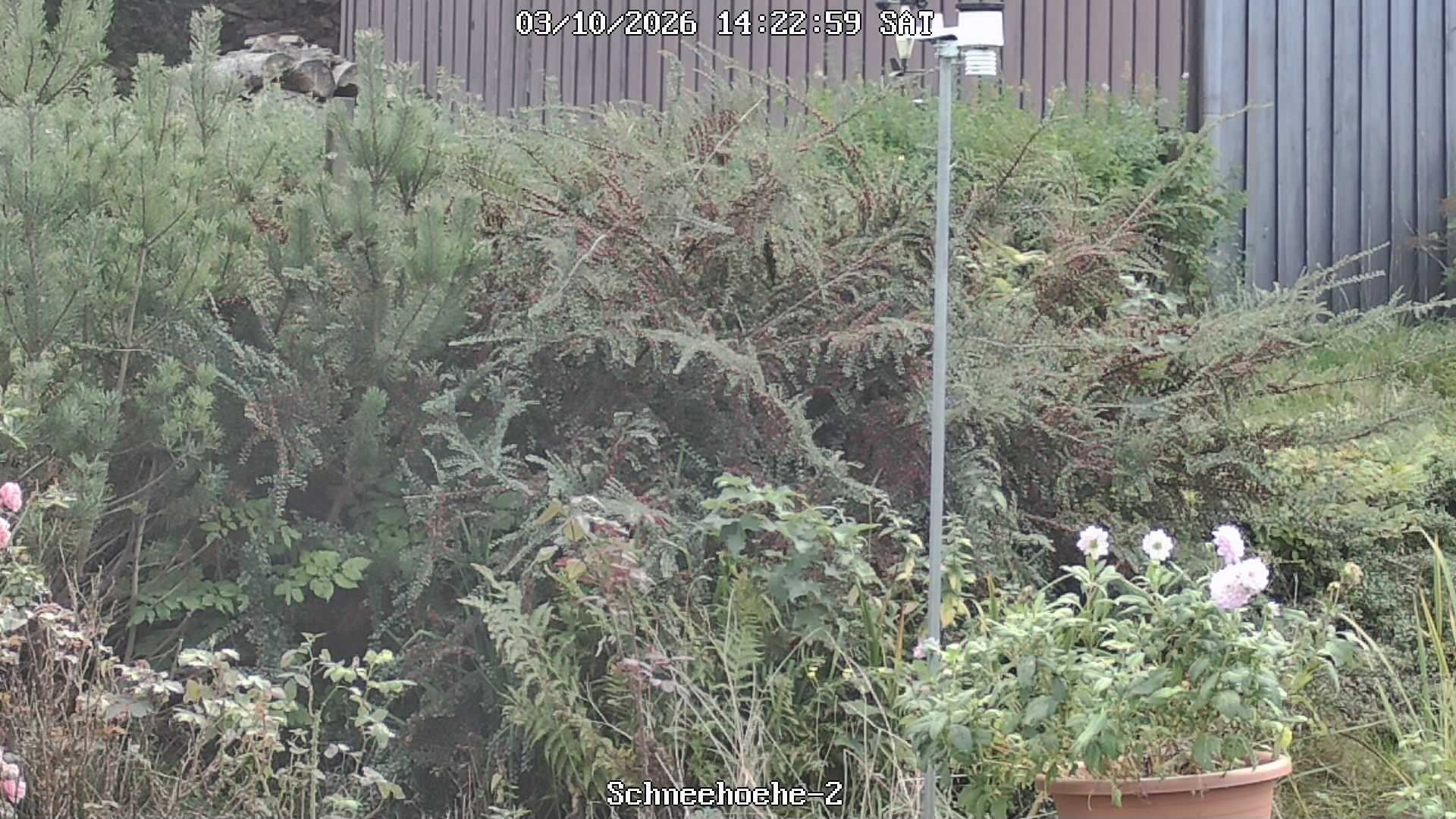 Archiv Foto Webcam Kurort Bärenfels - Schneemesser