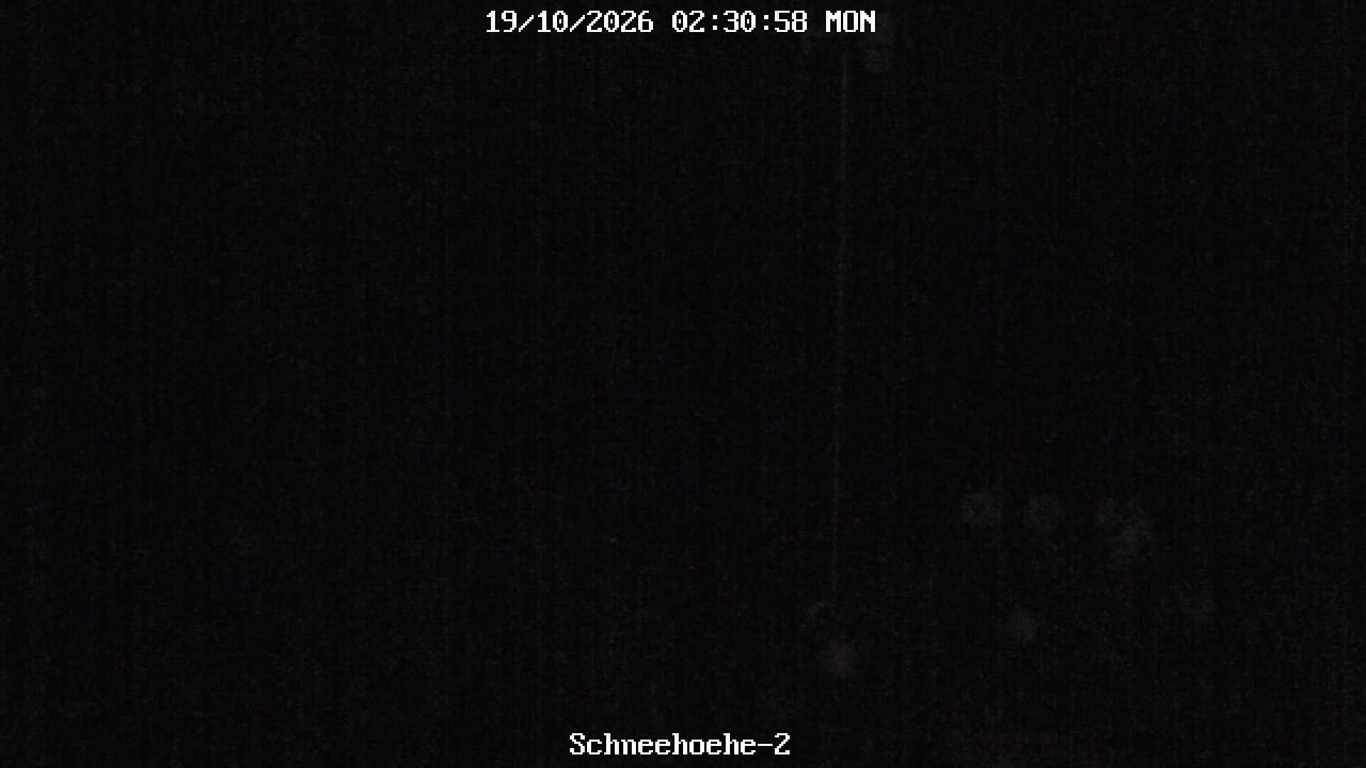 Archived image Webcam Snowcam in Bärenfels