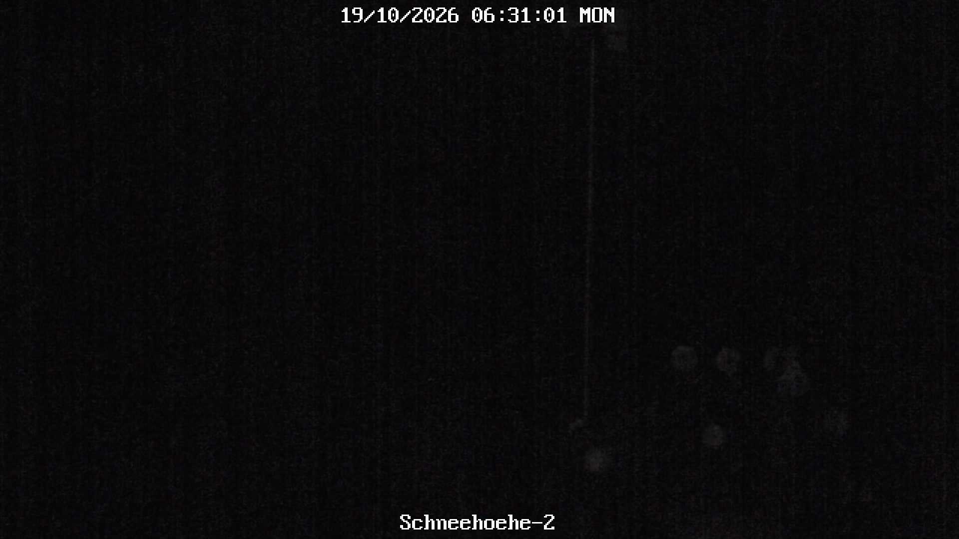 Archived image Webcam Snowcam in Bärenfels