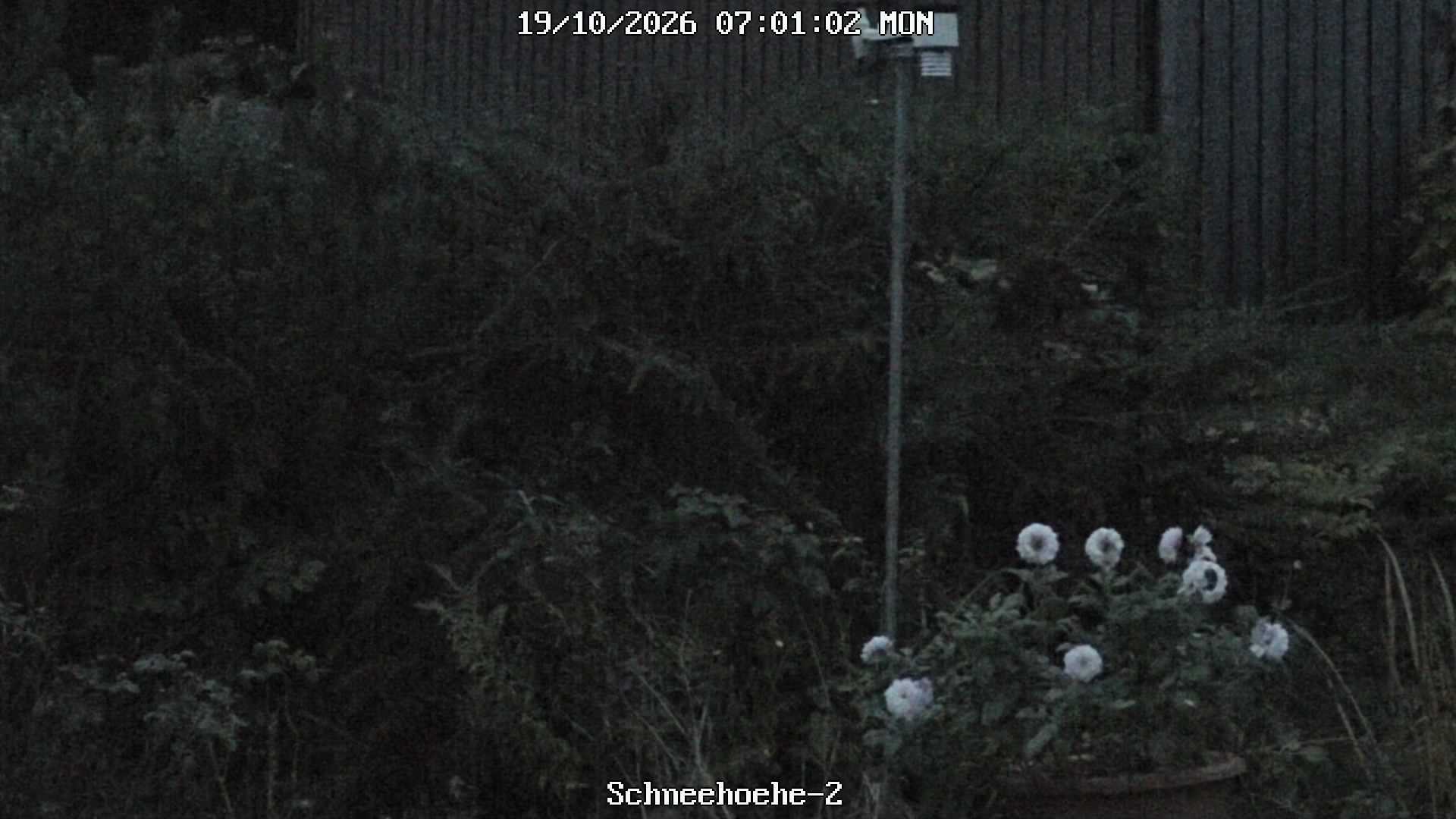 Archived image Webcam Snowcam in Bärenfels