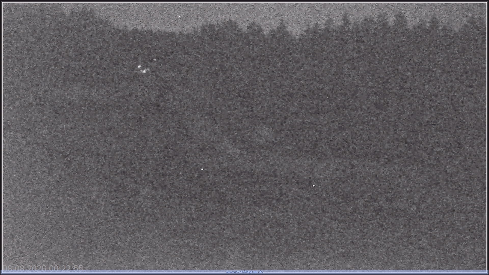 Archiv Foto Webcam Altenberger Bobbahn