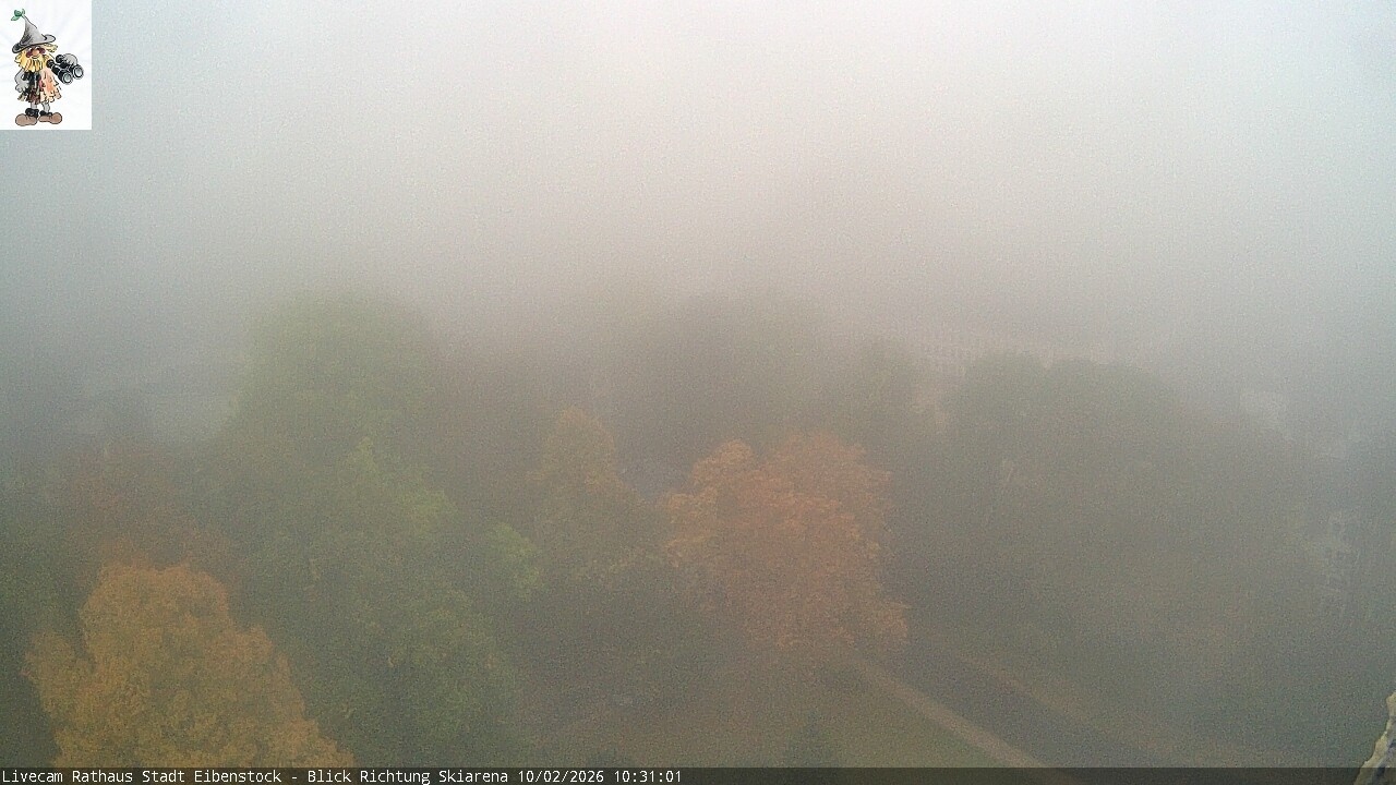 Archiv Foto Webcam Eibenstock im Erzgebirge