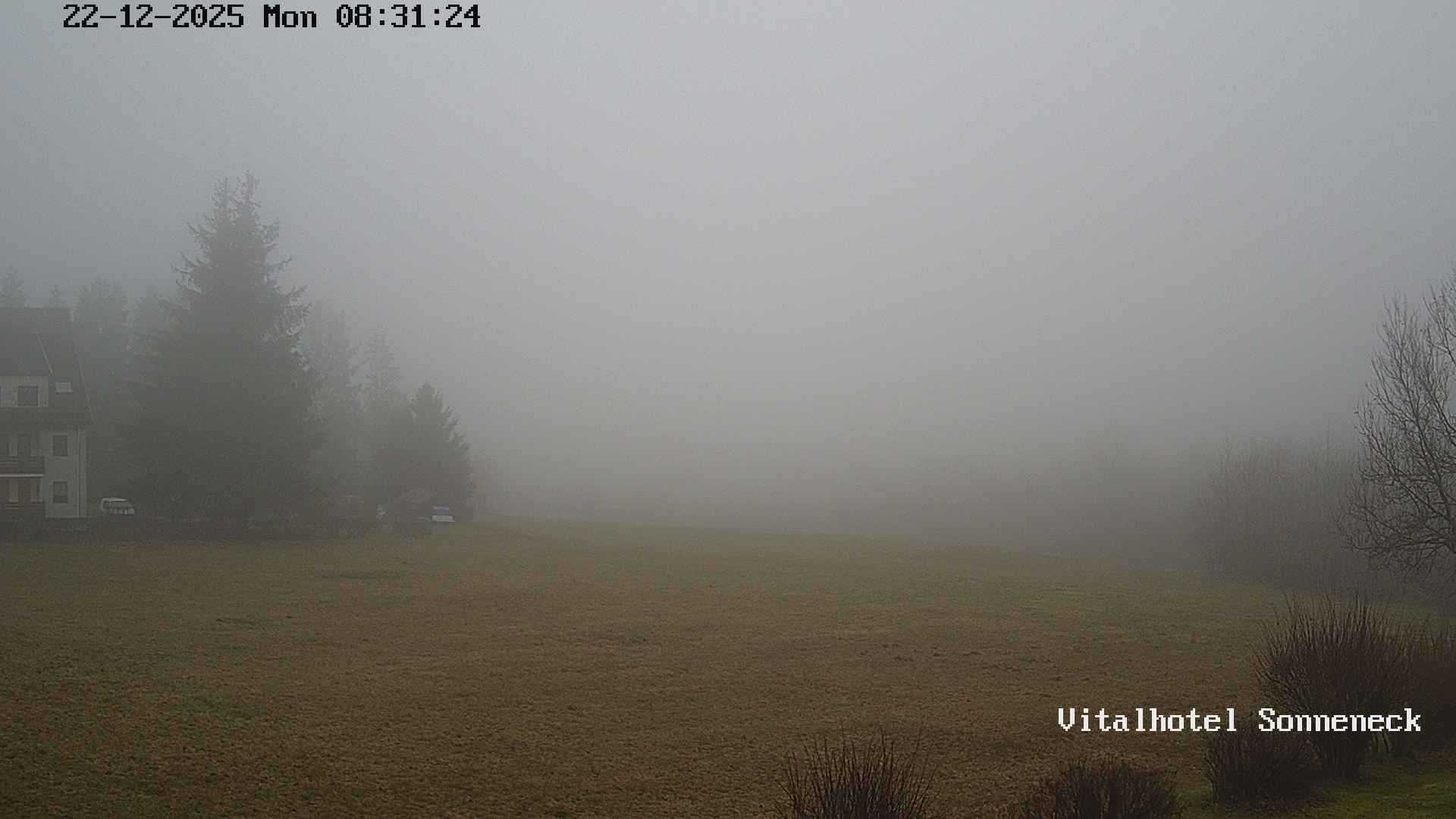 Archiv Foto Webcam Braunlage-Hohegeiß: Blick über das Tal