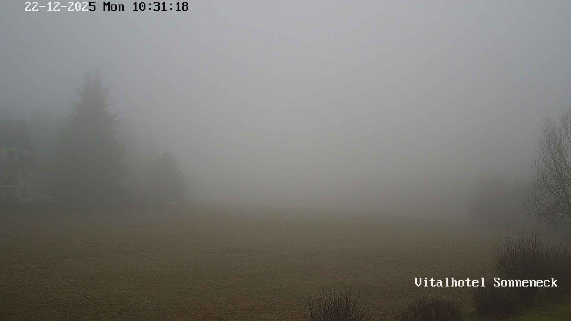 Archiv Foto Webcam Braunlage-Hohegeiß: Blick über das Tal