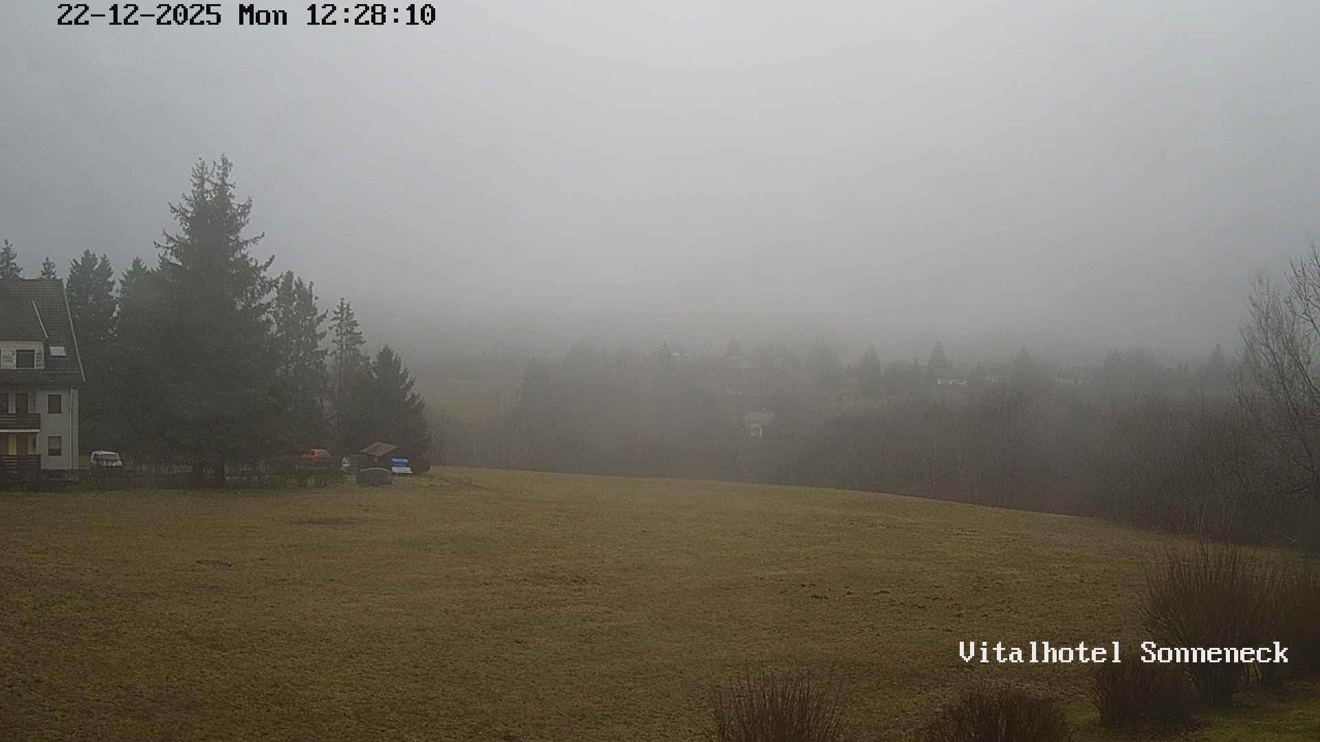 Archiv Foto Webcam Braunlage-Hohegeiß: Blick über das Tal