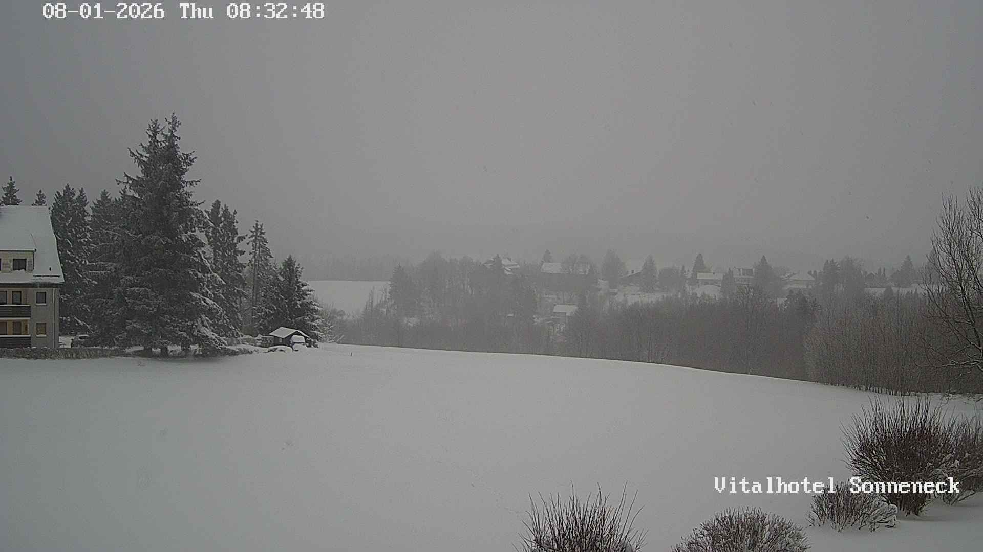 Archiv Foto Webcam Braunlage-Hohegeiß: Blick über das Tal