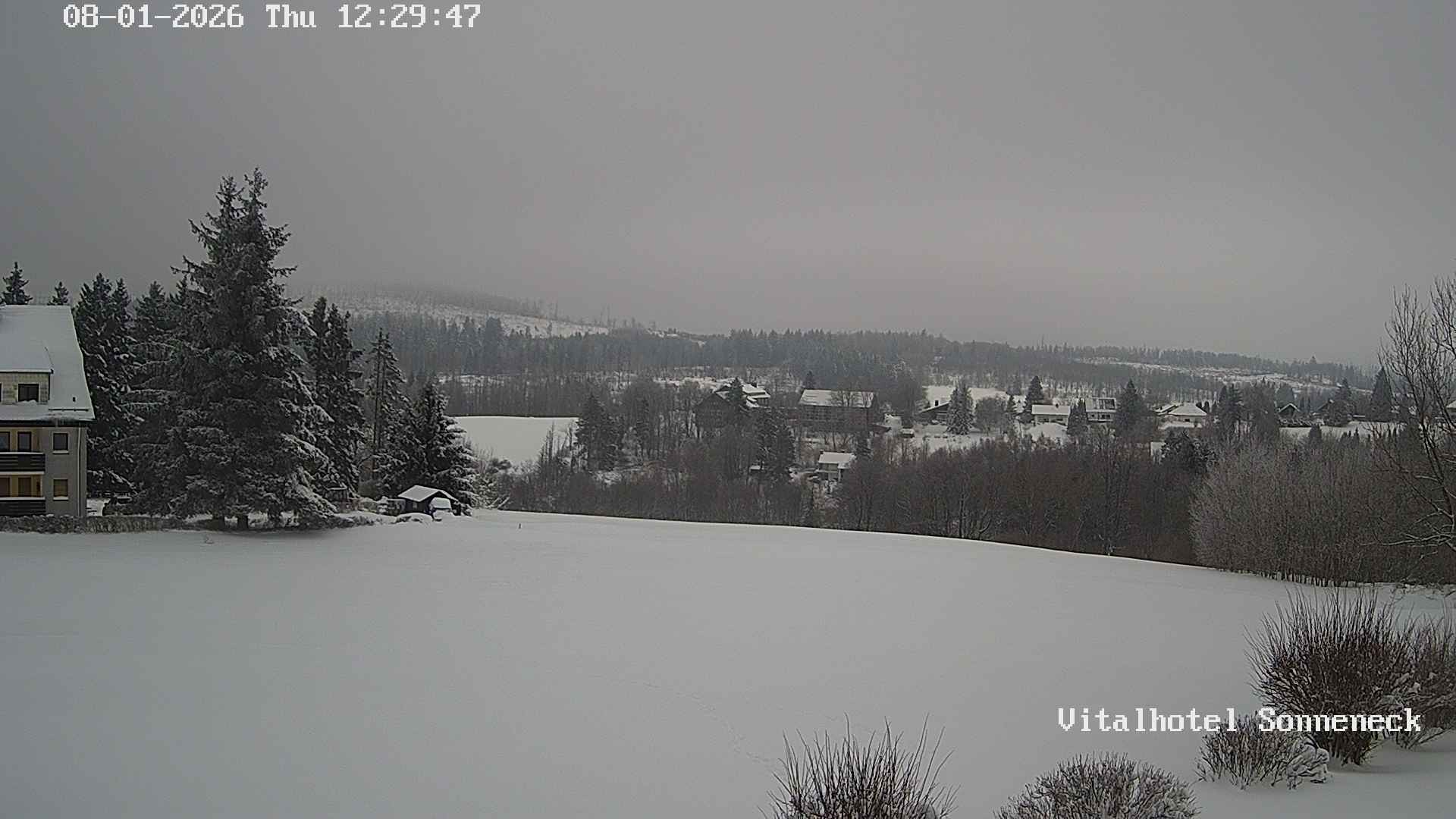 Archiv Foto Webcam Braunlage-Hohegeiß: Blick über das Tal