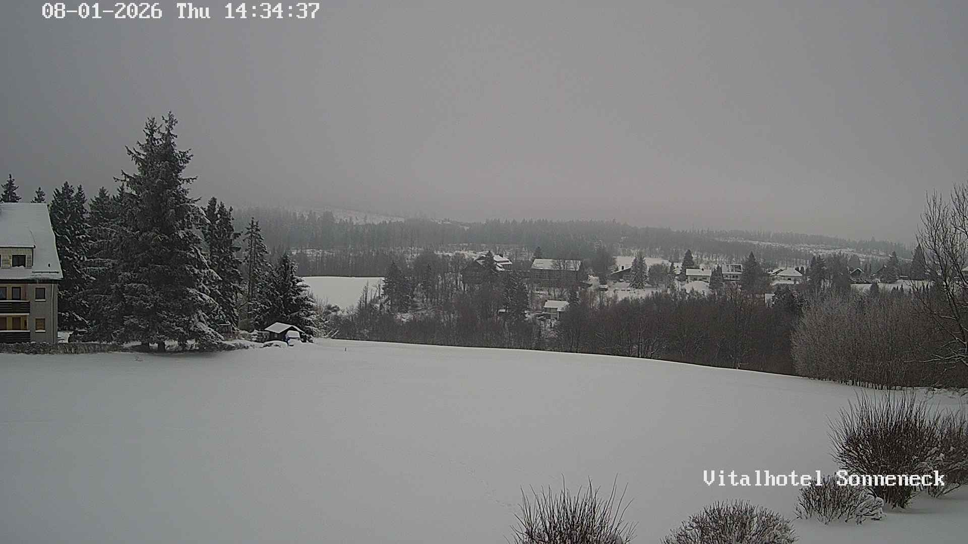 Archiv Foto Webcam Braunlage-Hohegeiß: Blick über das Tal