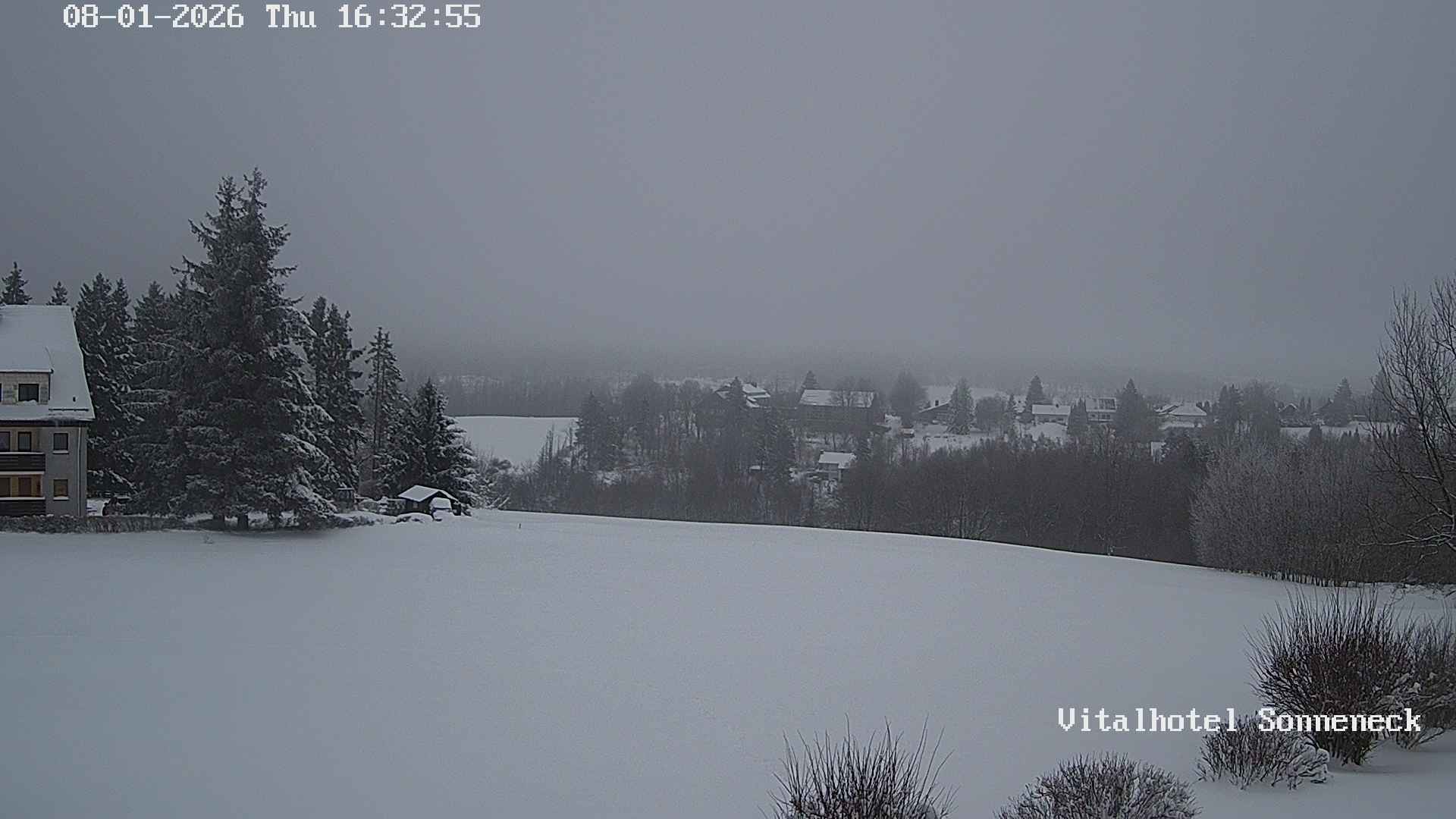 Archiv Foto Webcam Braunlage-Hohegeiß: Blick über das Tal