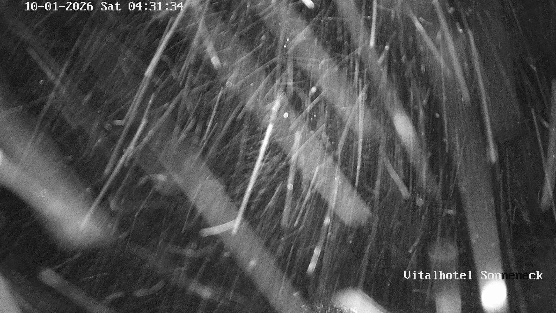 Archiv Foto Webcam Braunlage-Hohegeiß: Blick über das Tal