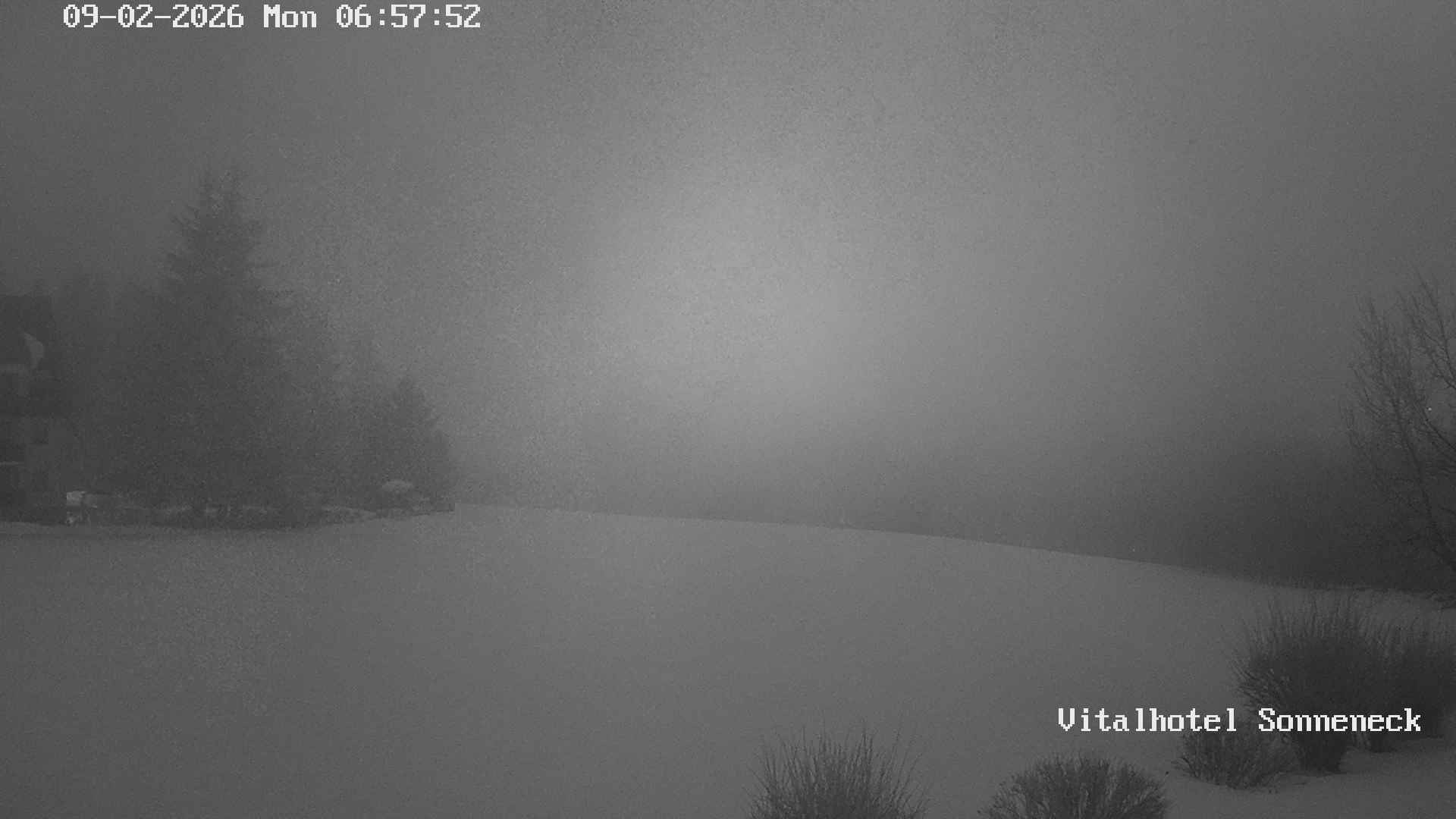 Archiv Foto Webcam Braunlage-Hohegeiß: Blick über das Tal