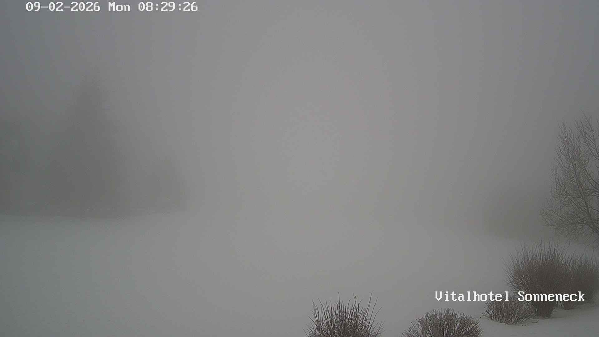 Archiv Foto Webcam Braunlage-Hohegeiß: Blick über das Tal