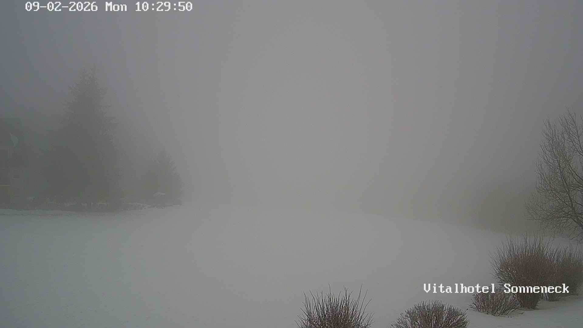 Archiv Foto Webcam Braunlage-Hohegeiß: Blick über das Tal