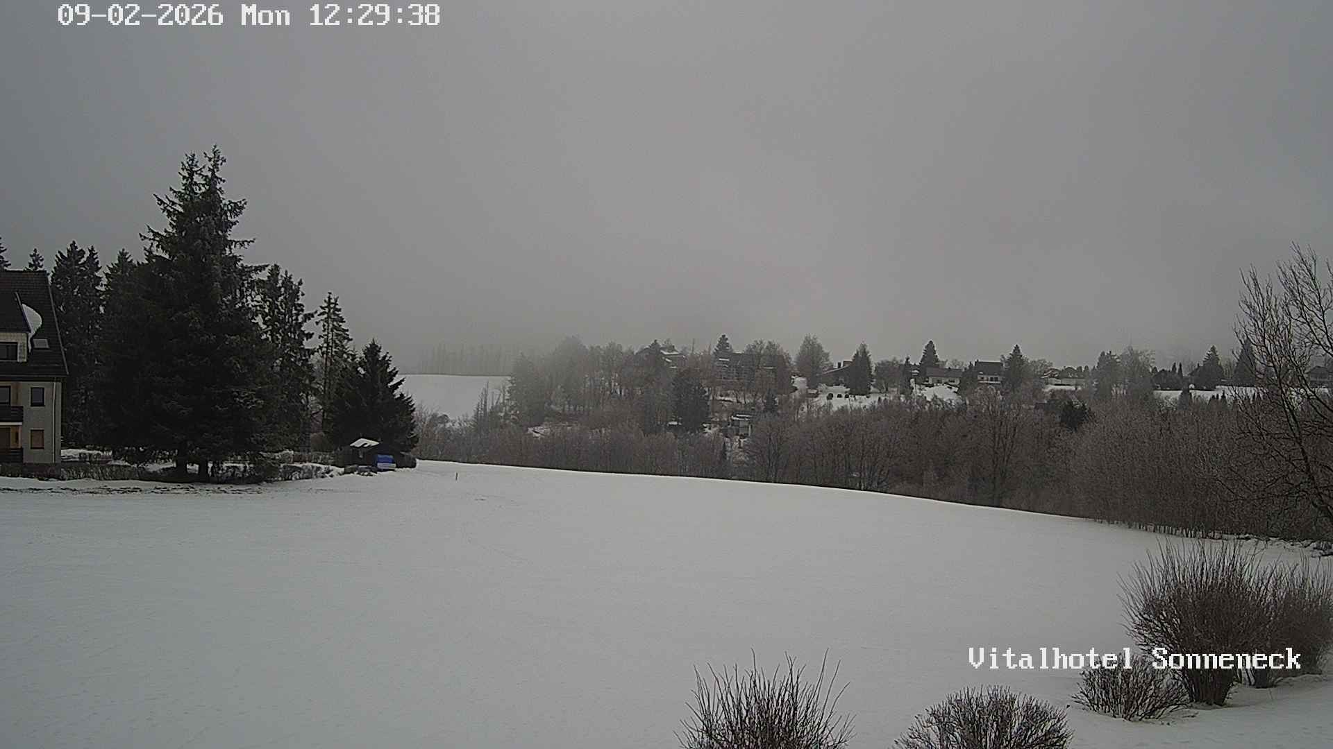 Archiv Foto Webcam Braunlage-Hohegeiß: Blick über das Tal