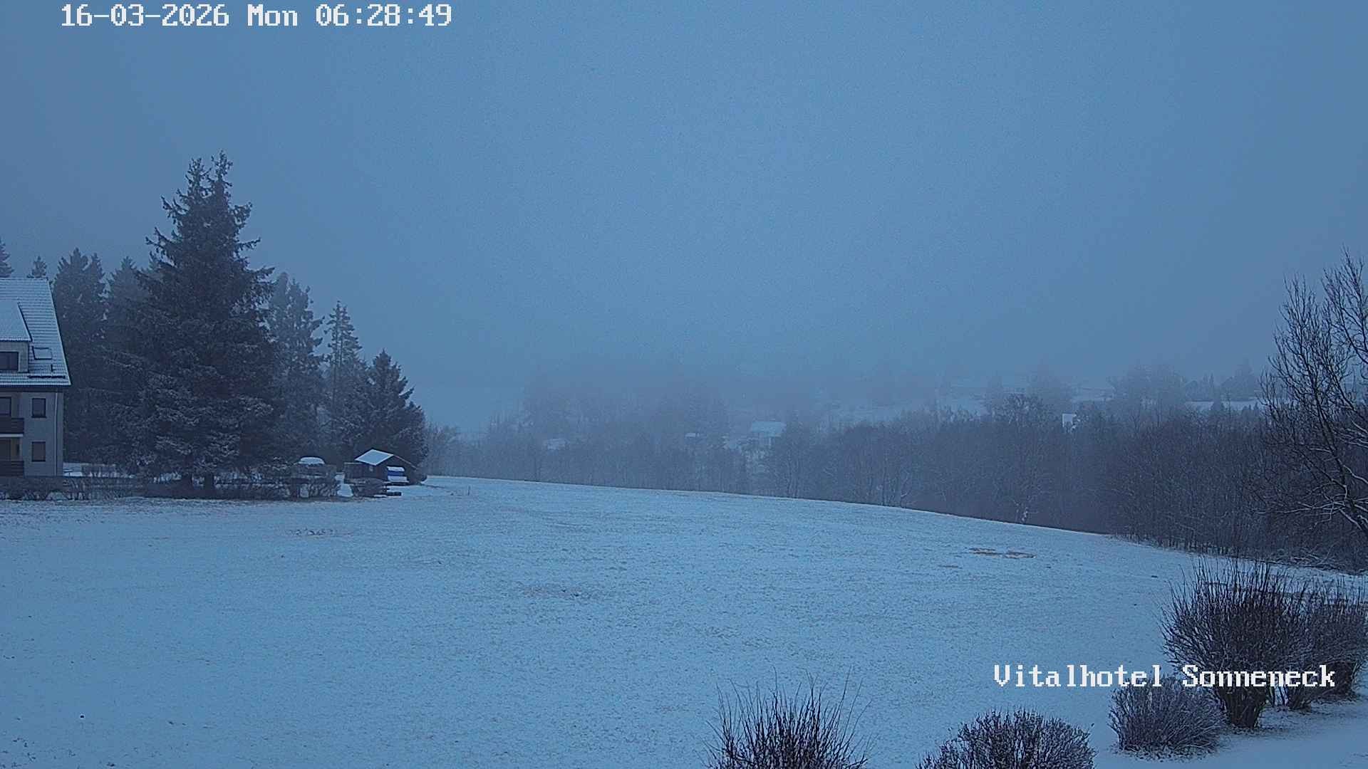 Archived image Webcam Hohegeiß-Braunlage: Panorama view