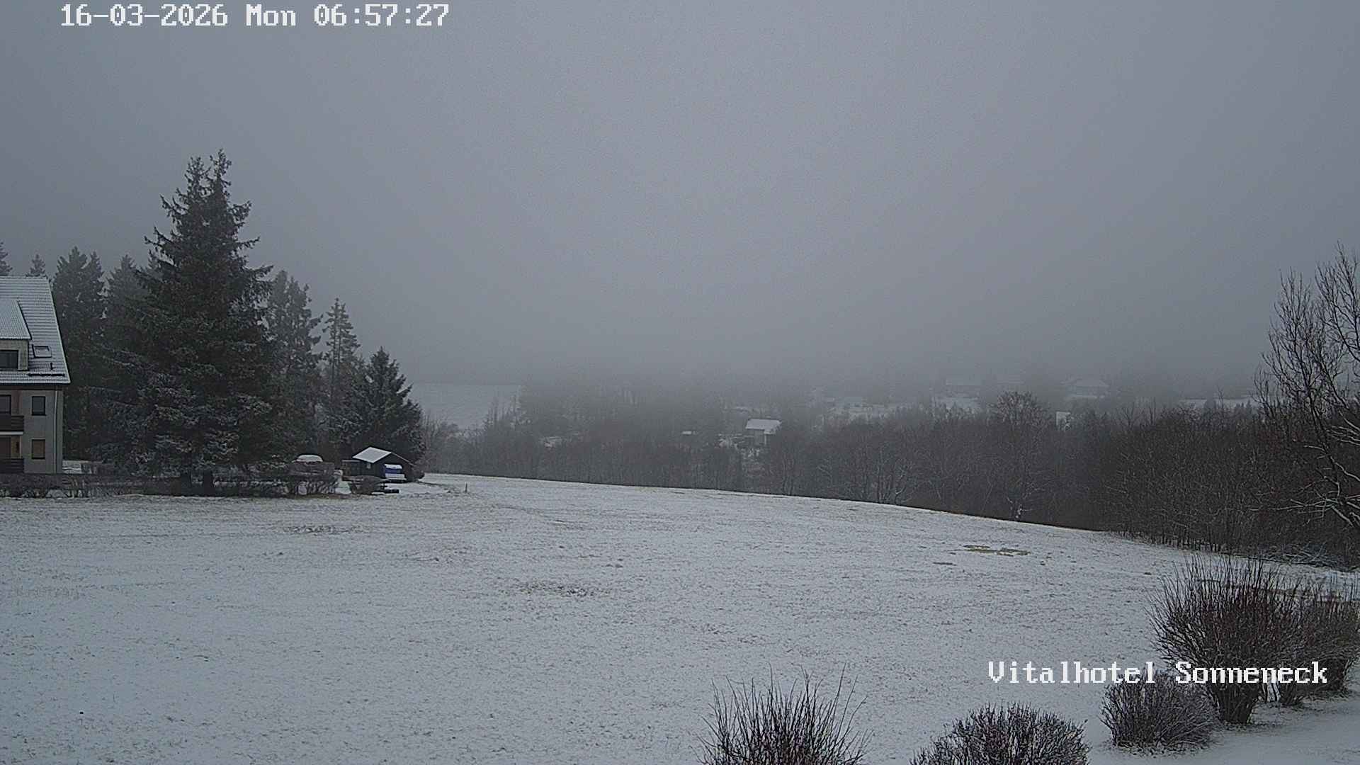 Archived image Webcam Hohegeiß-Braunlage: Panorama view
