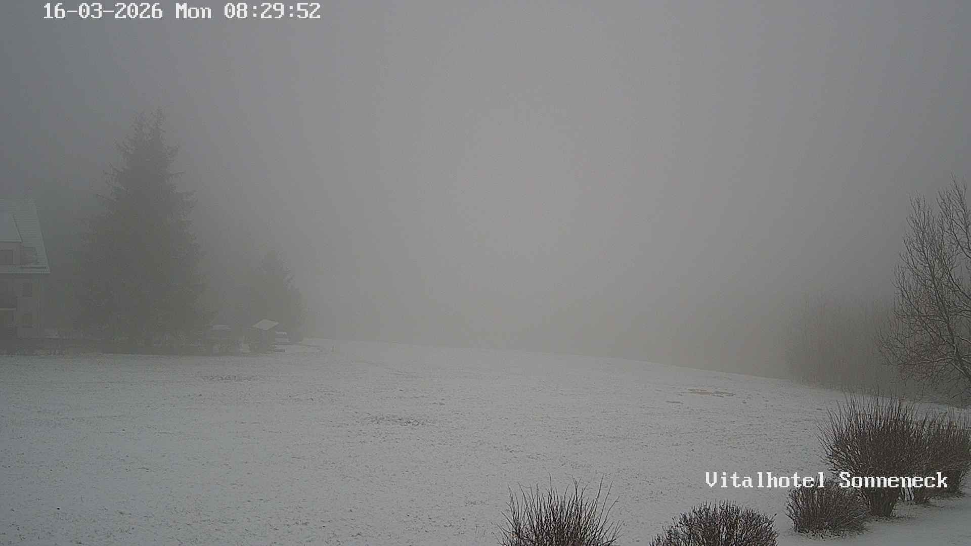 Archived image Webcam Hohegeiß-Braunlage: Panorama view