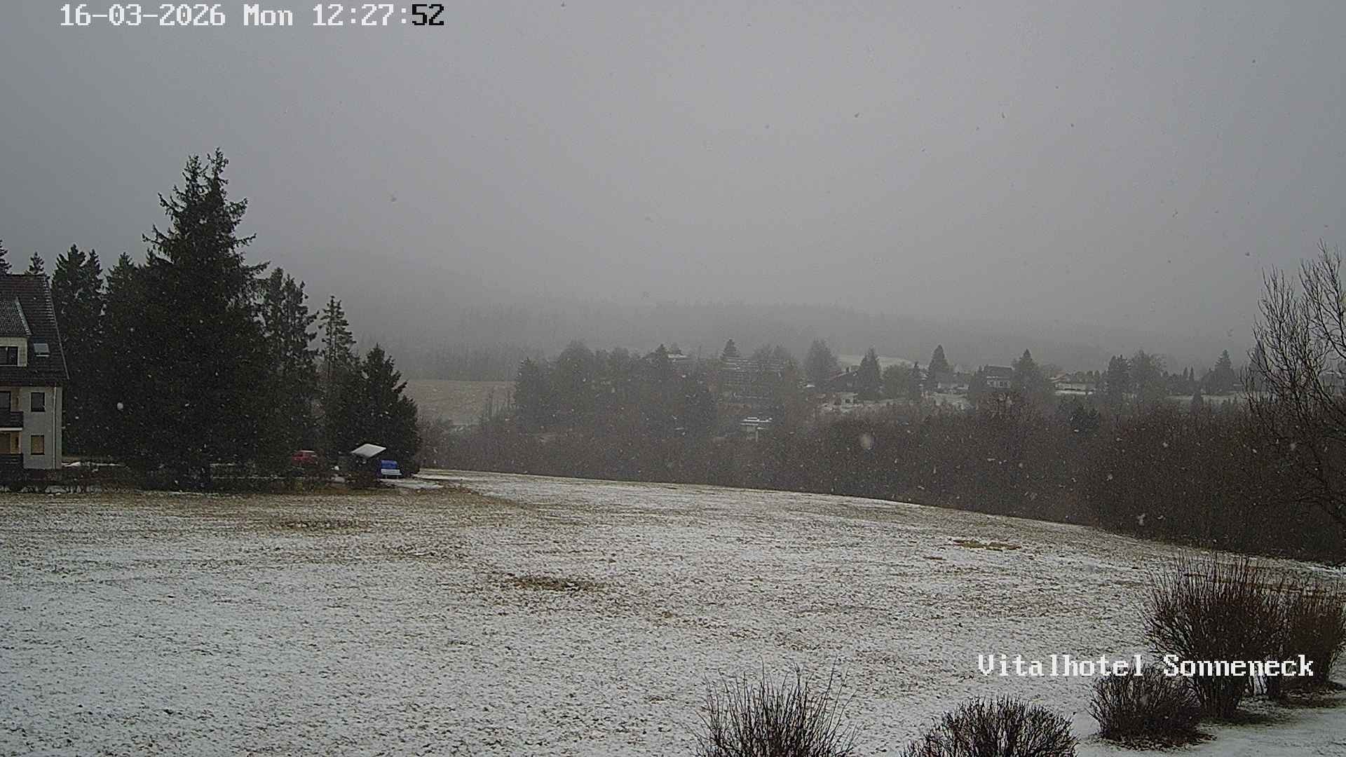 Archived image Webcam Hohegeiß-Braunlage: Panorama view