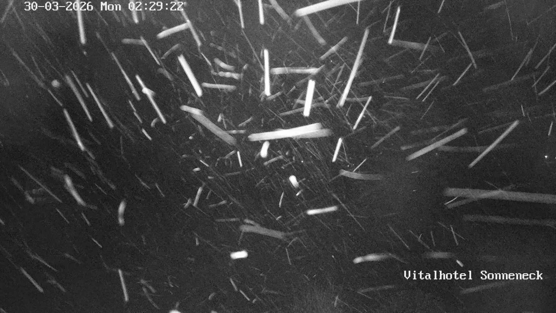 Archived image Webcam Hohegeiß-Braunlage: Panorama view