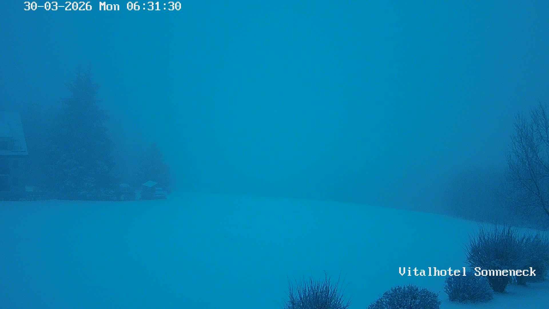 Archived image Webcam Hohegeiß-Braunlage: Panorama view