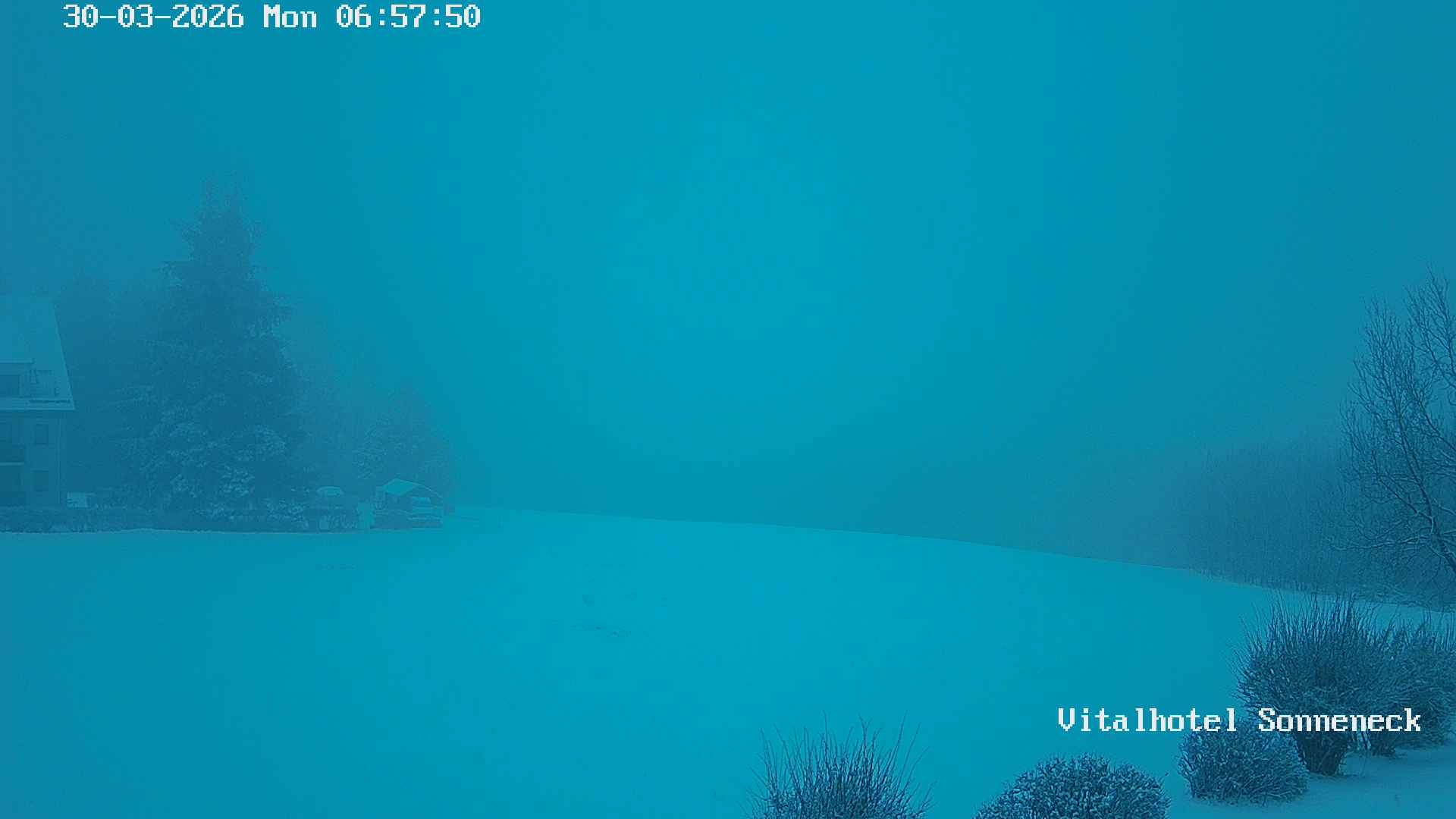 Archived image Webcam Hohegeiß-Braunlage: Panorama view